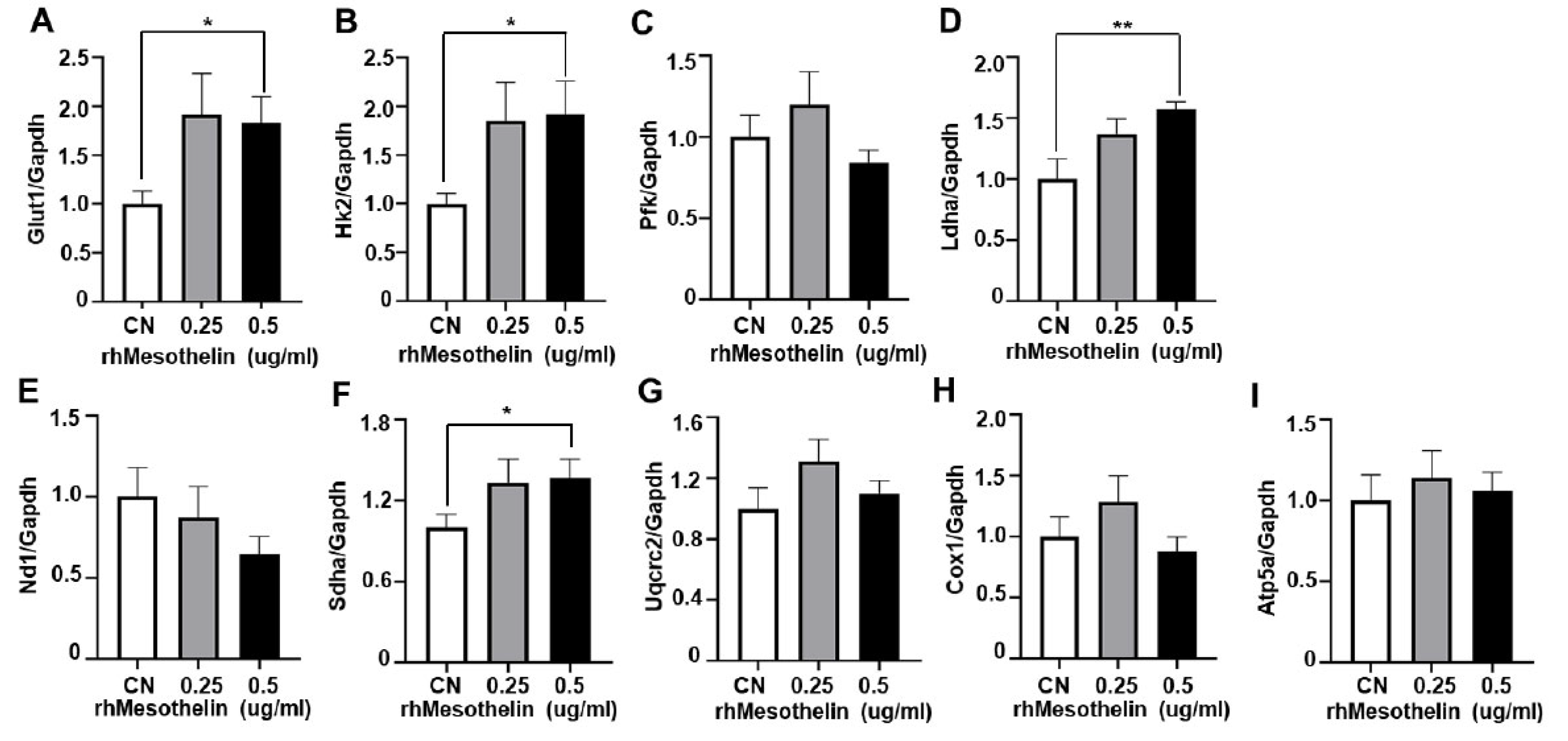 Preprints 91849 g004