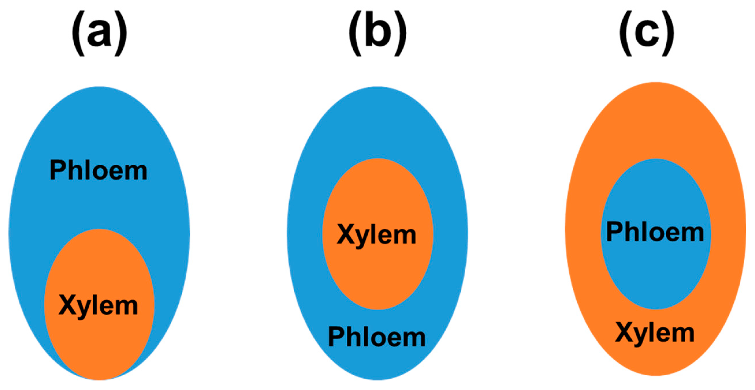 Preprints 102334 g001