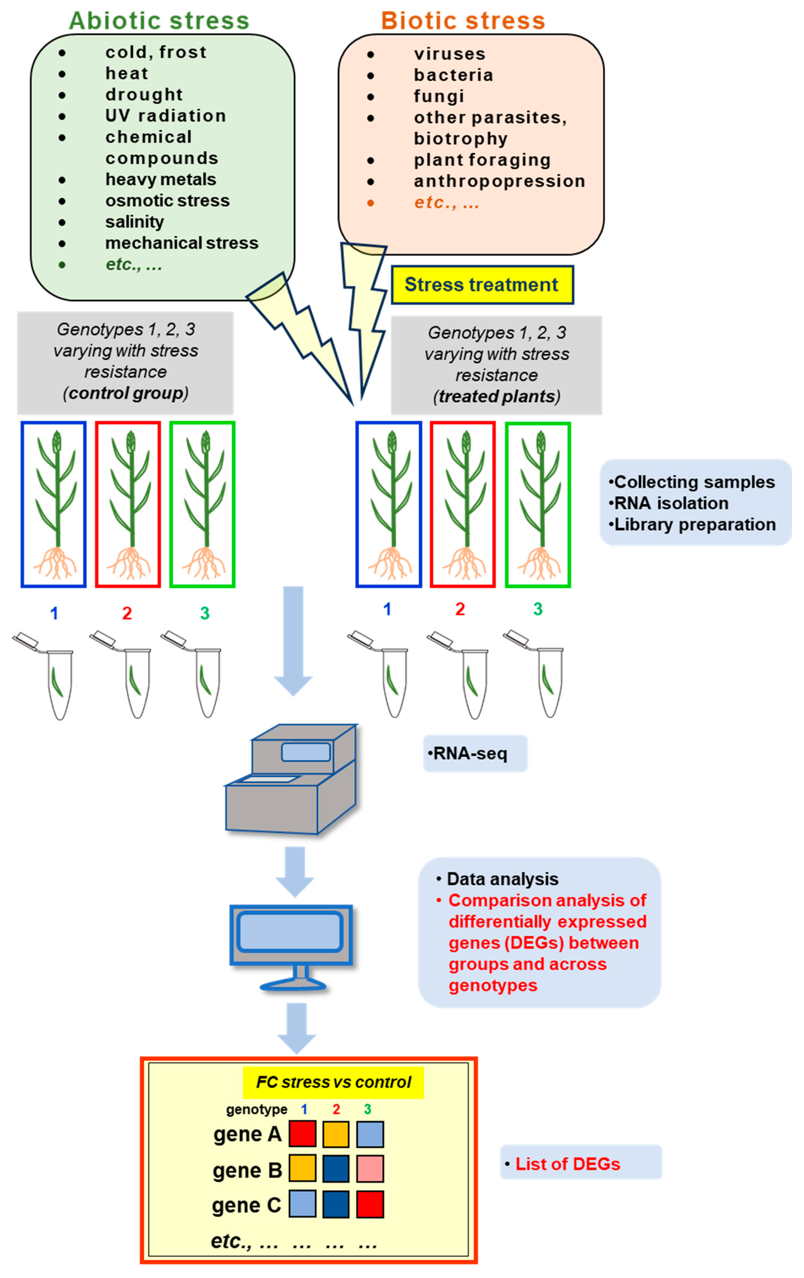 Preprints 102334 g002