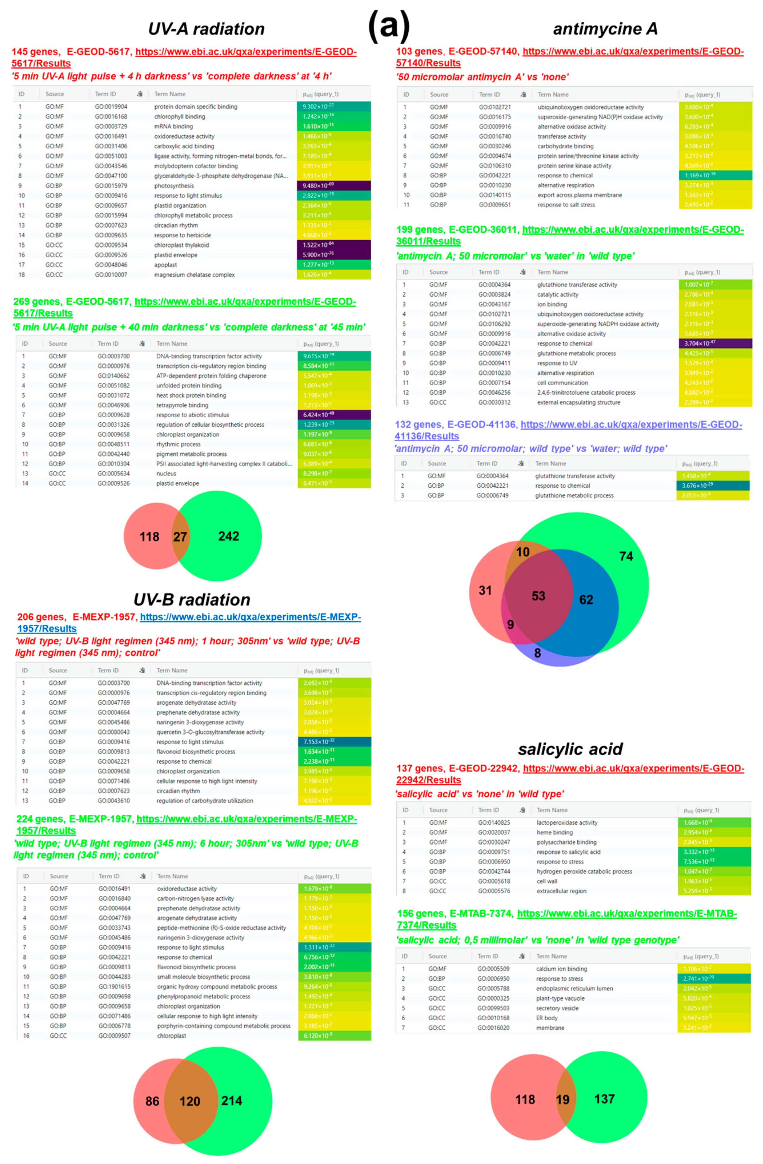 Preprints 102334 g004a