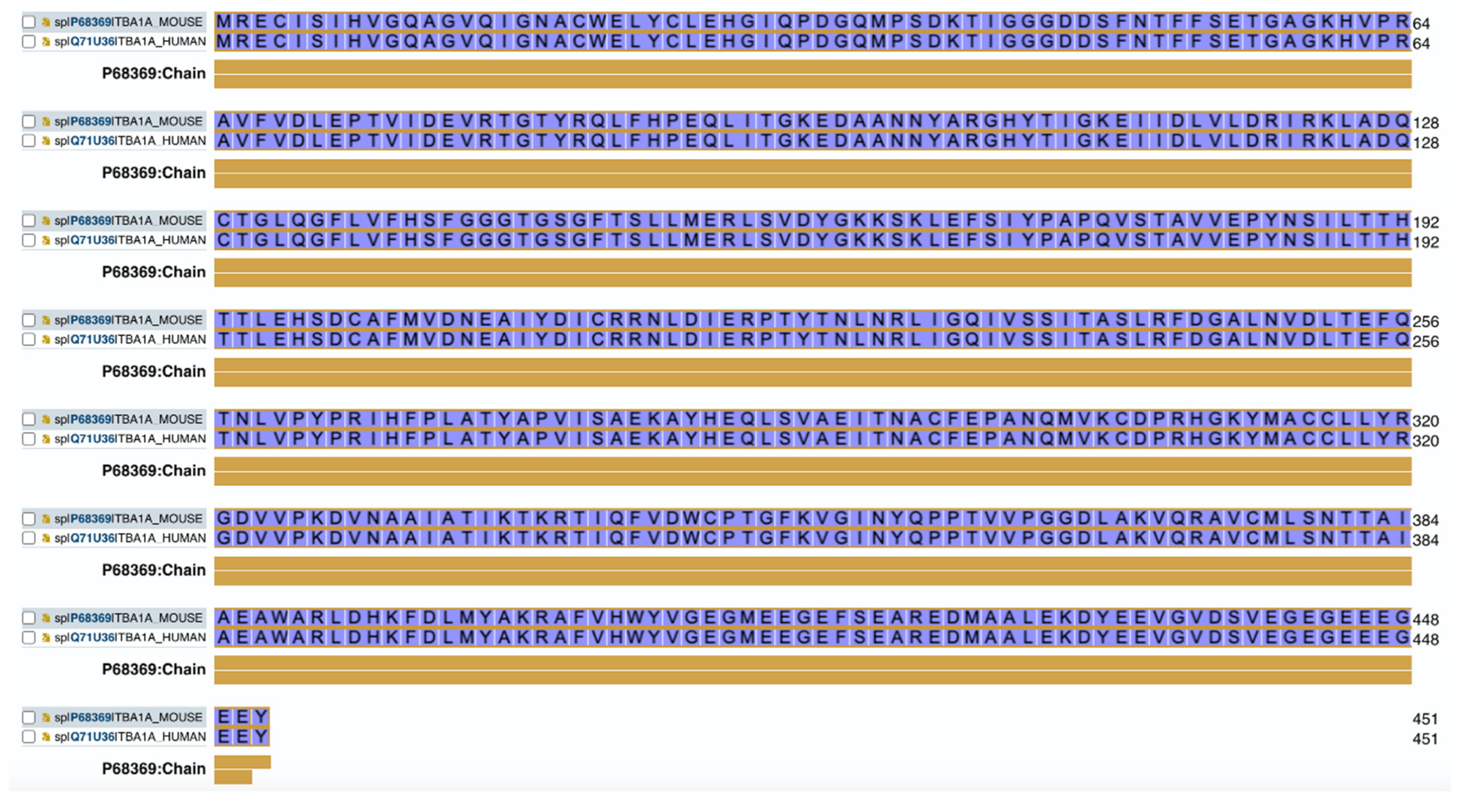 Preprints 81160 g001