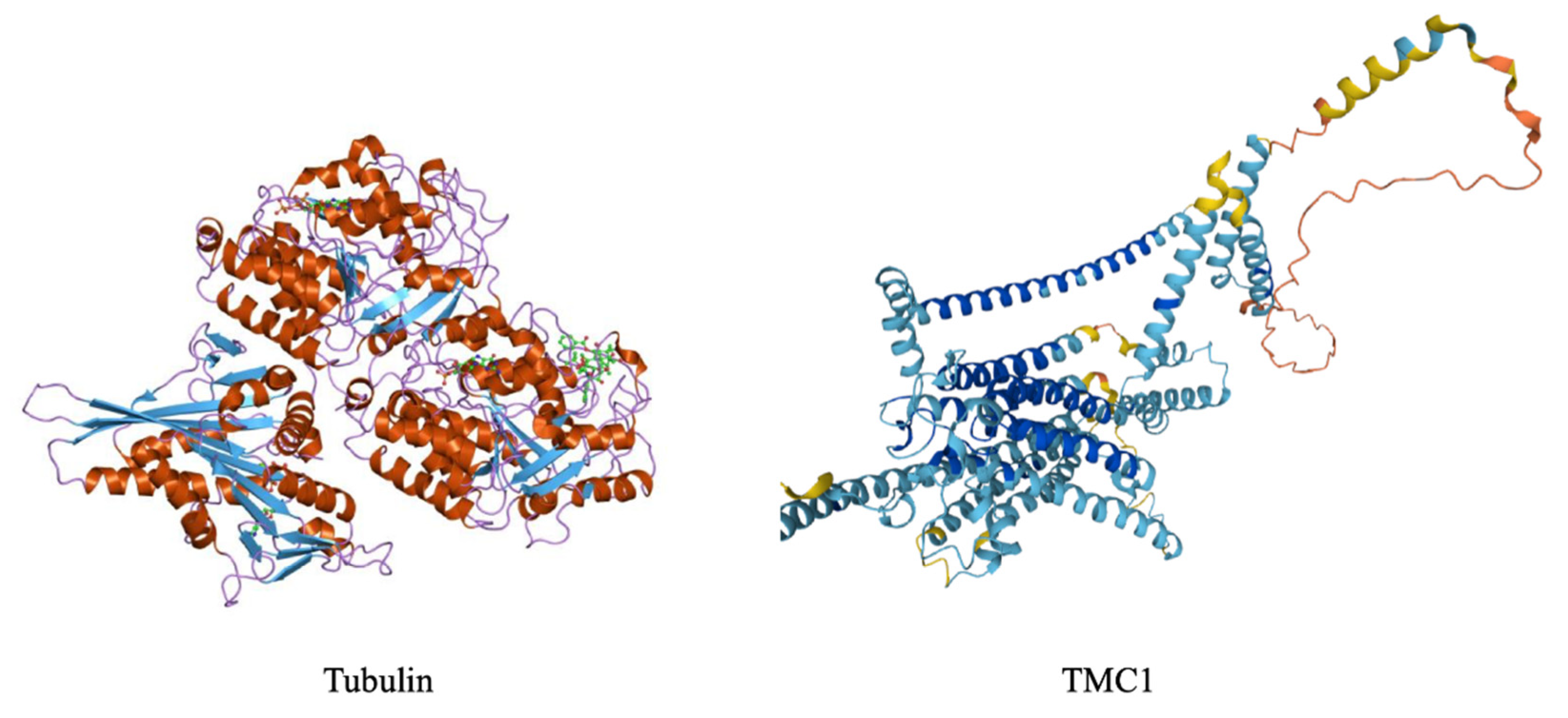 Preprints 81160 g005