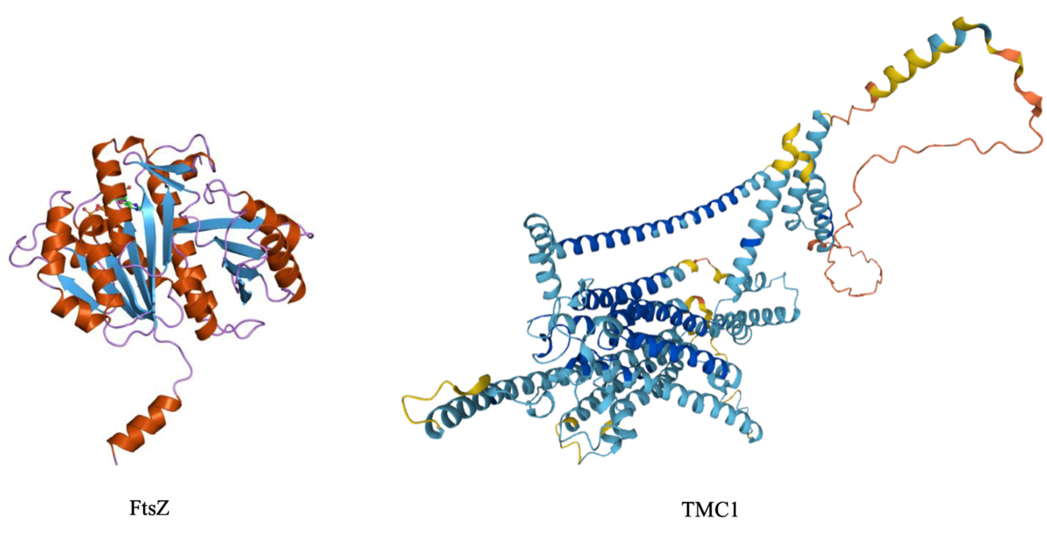 Preprints 81160 g008