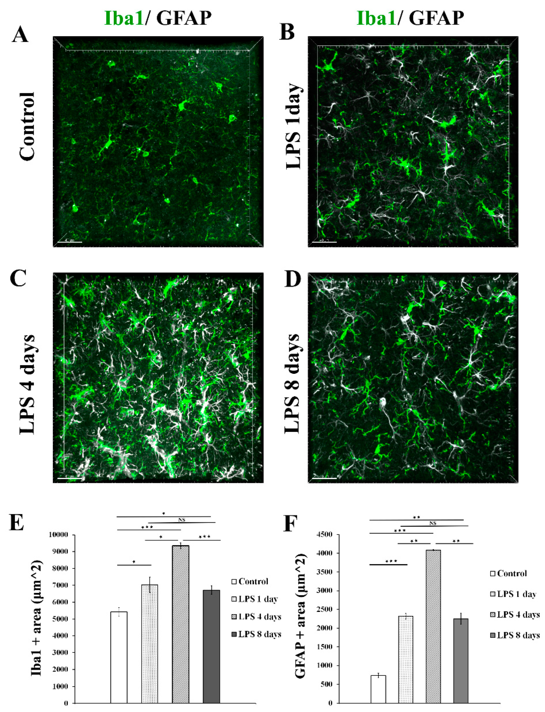 Preprints 70315 g001