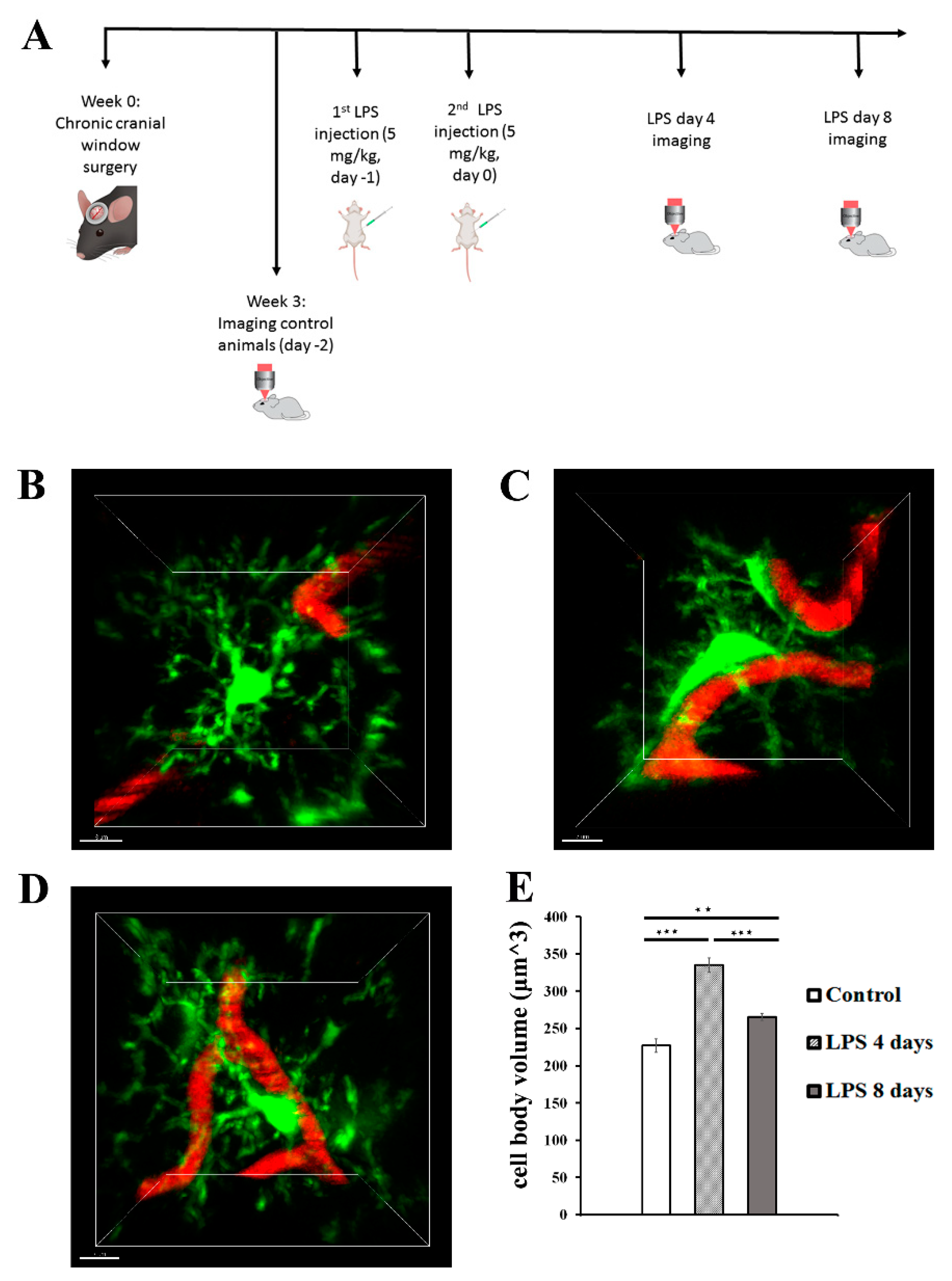 Preprints 70315 g002