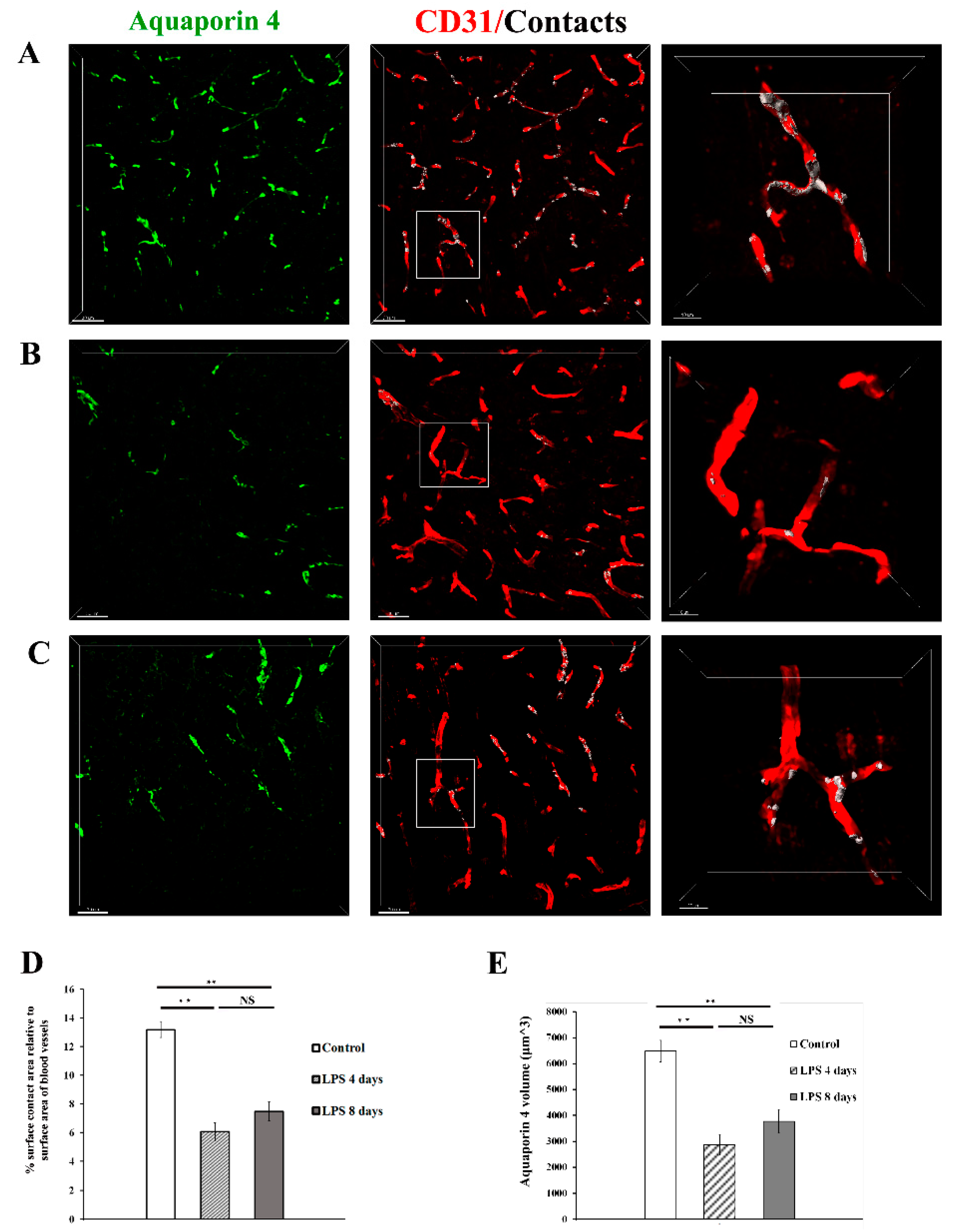 Preprints 70315 g005