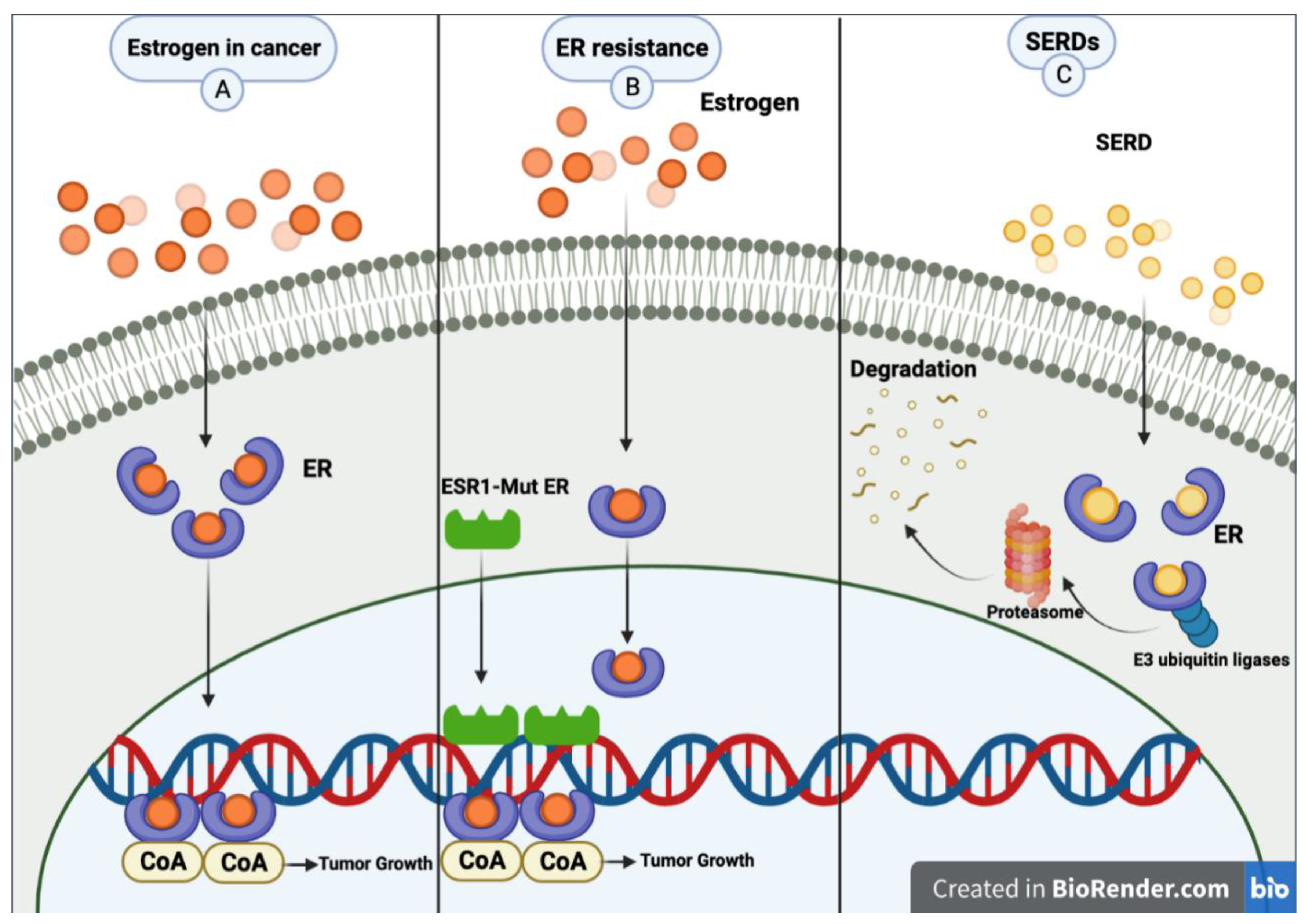 Preprints 91601 g001