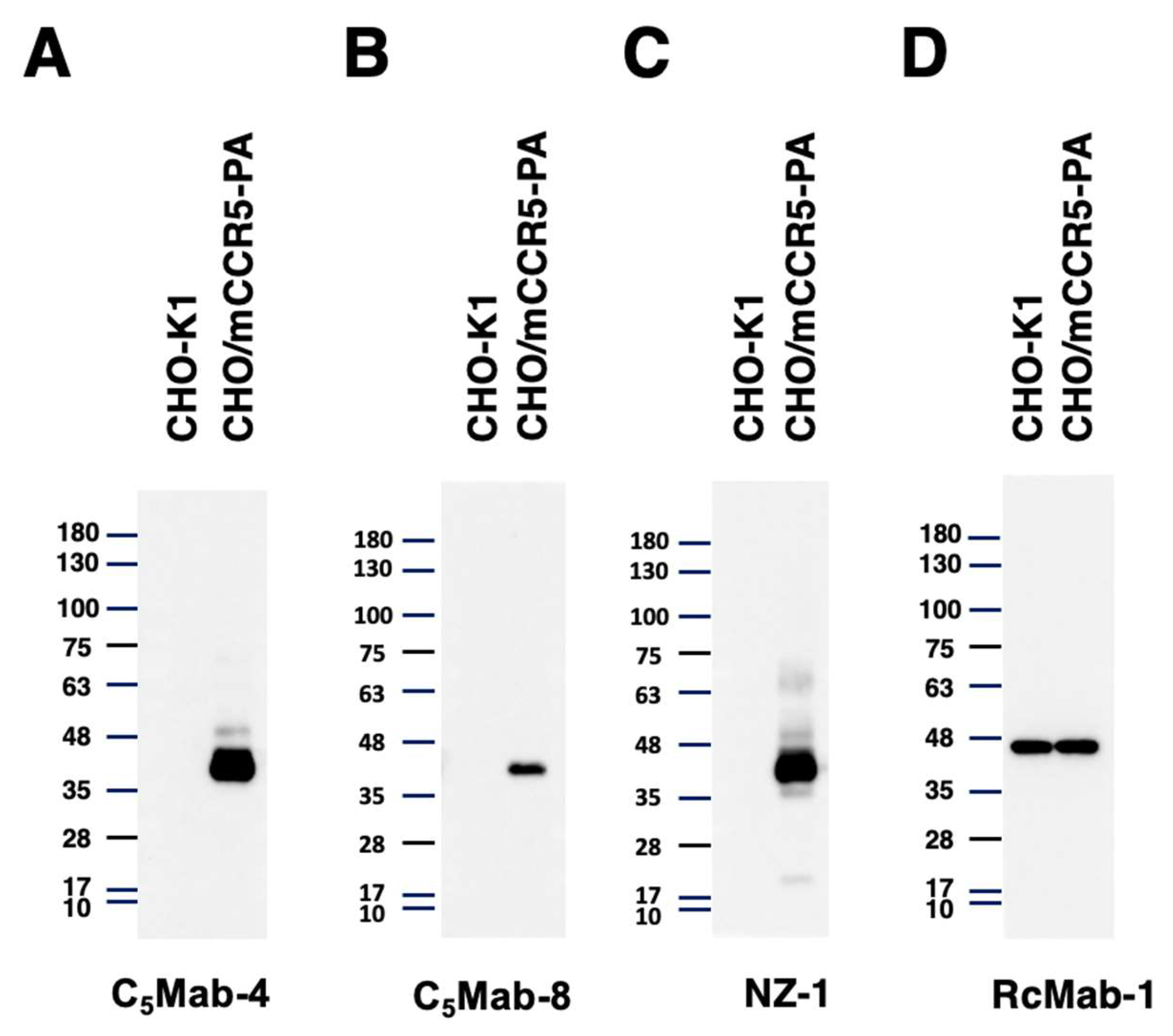 Preprints 102803 g005