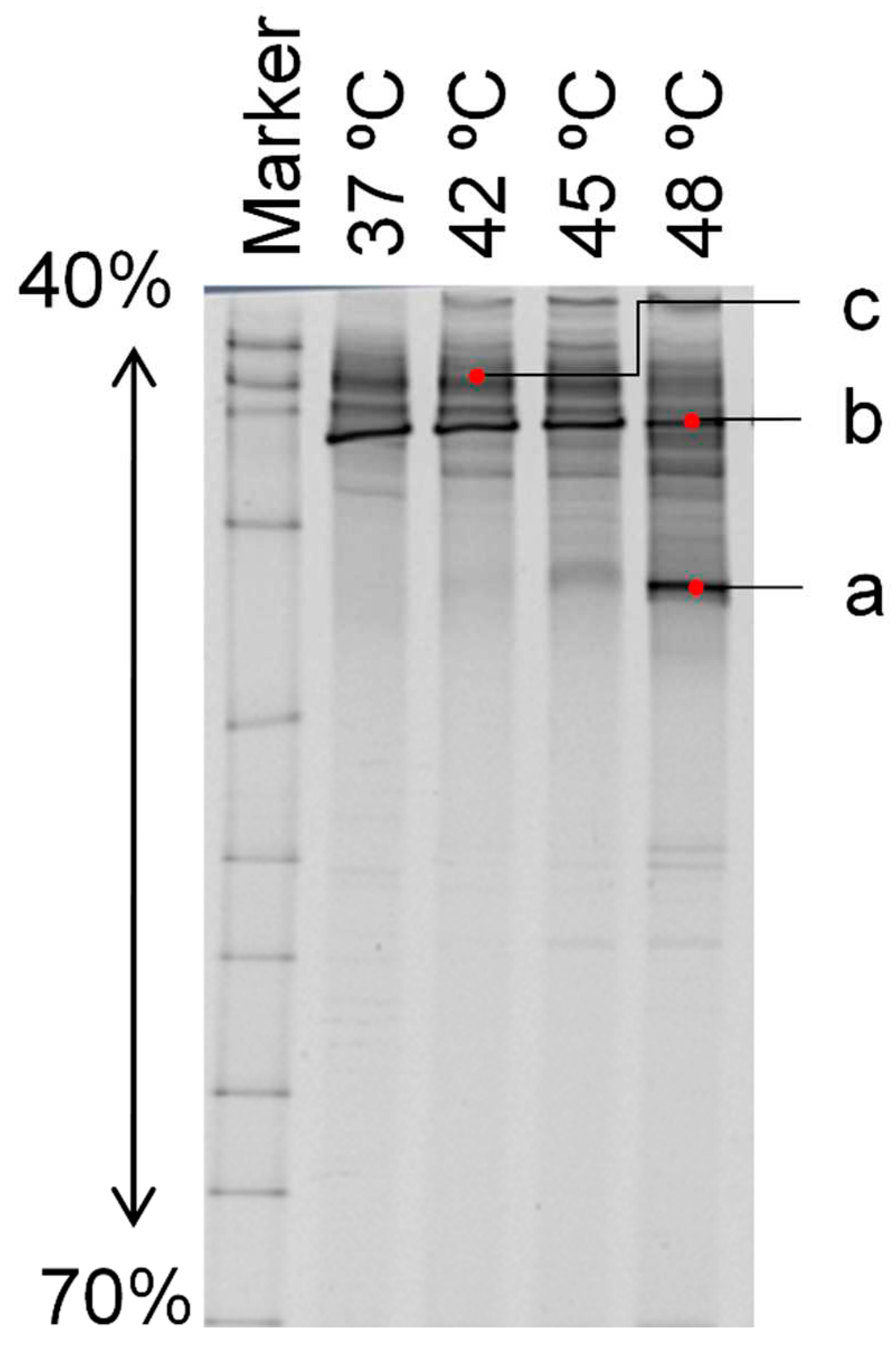 Preprints 85733 g005