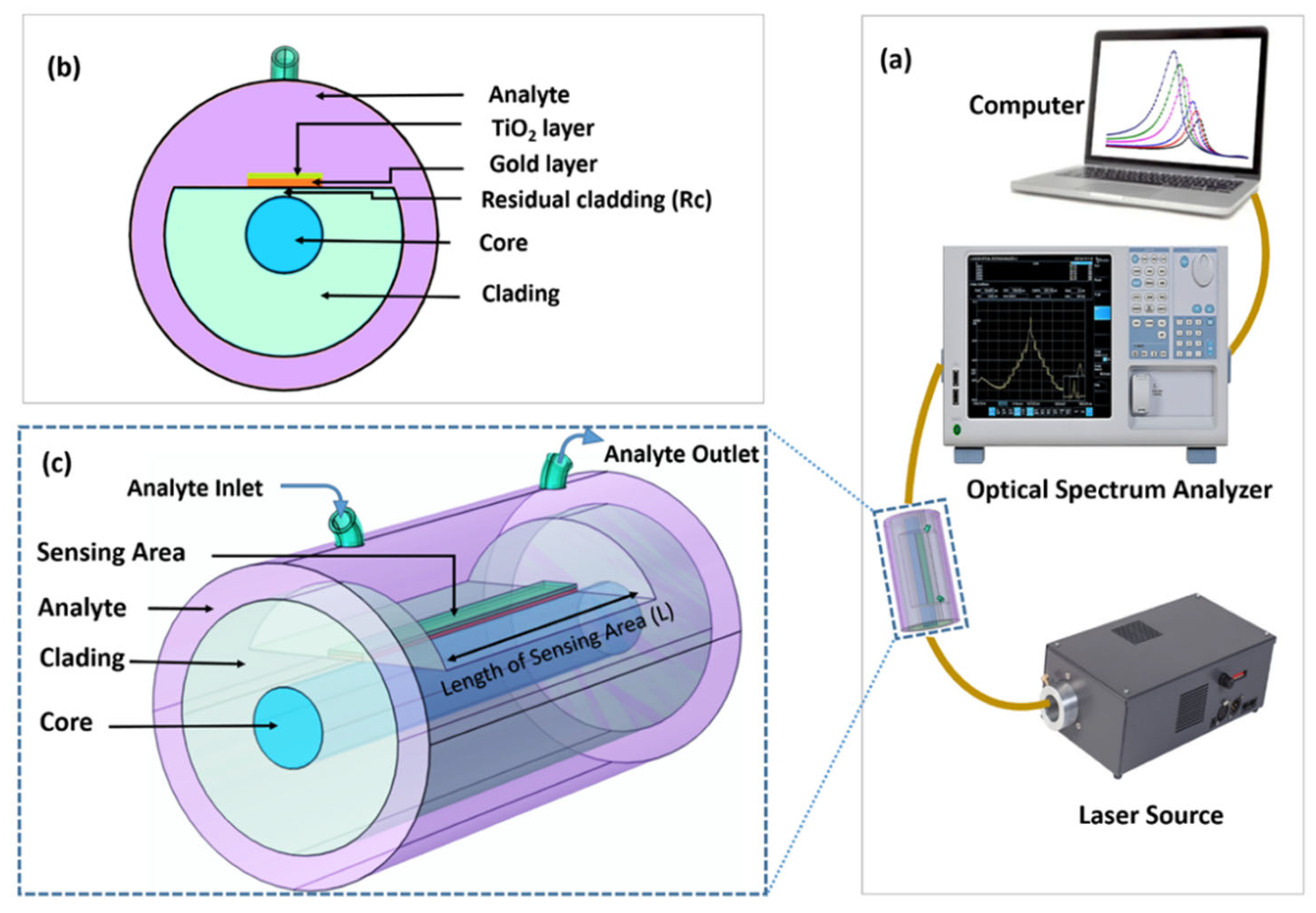 Preprints 114366 g001