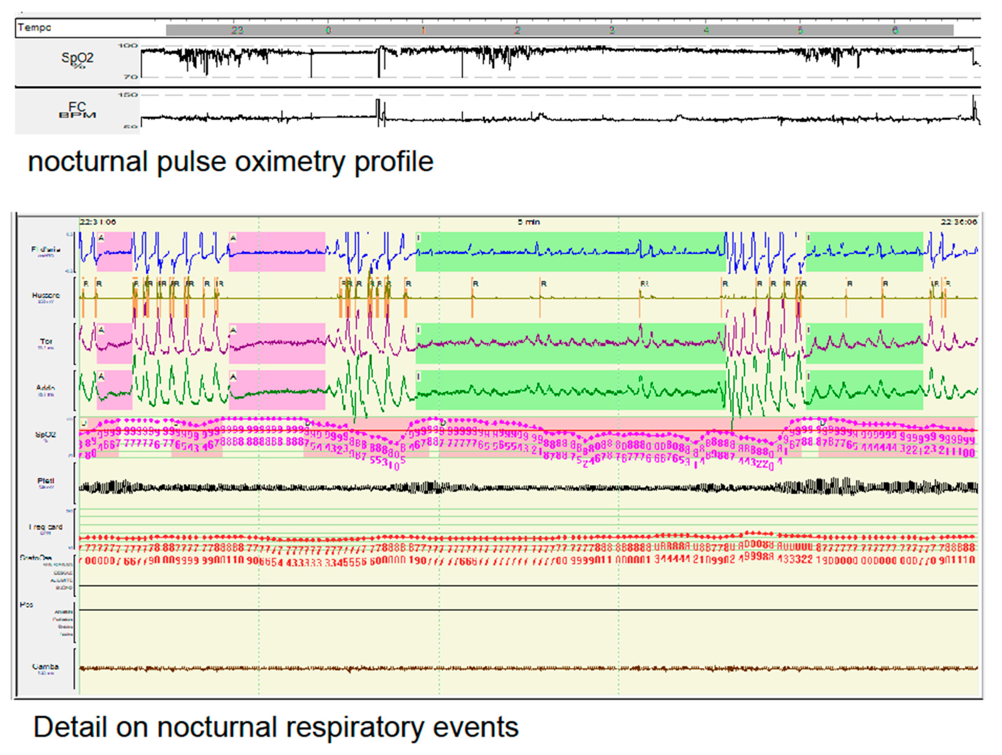 Preprints 75037 g001