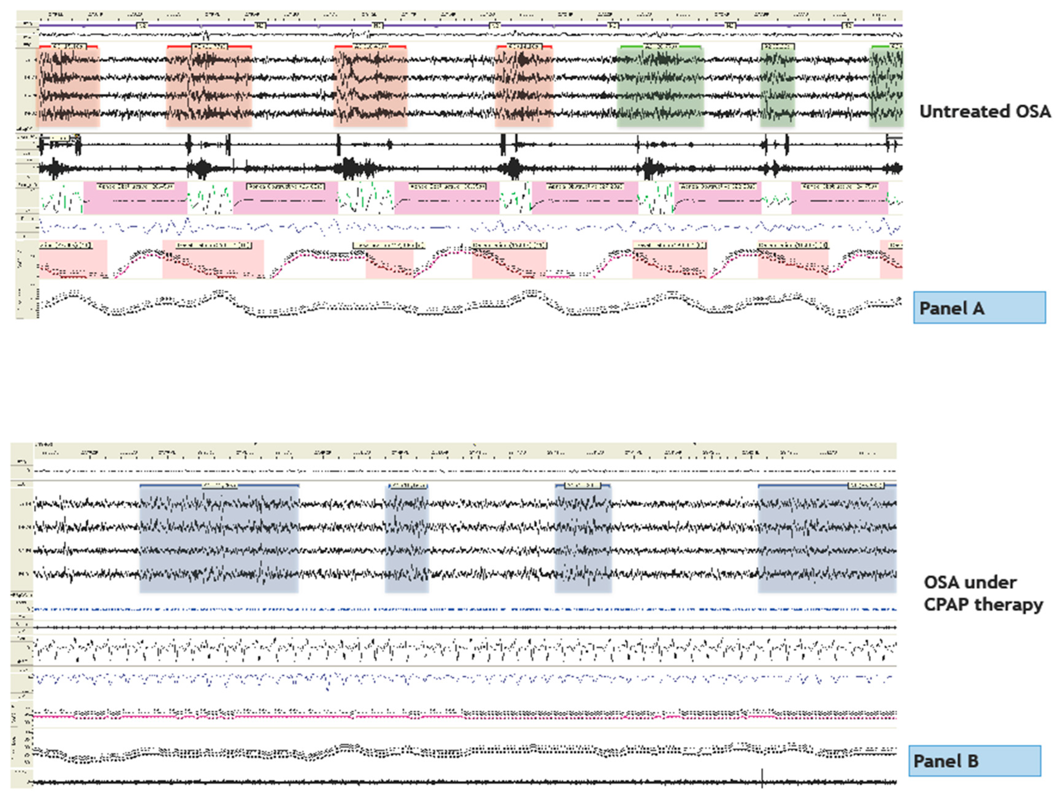 Preprints 75037 g002