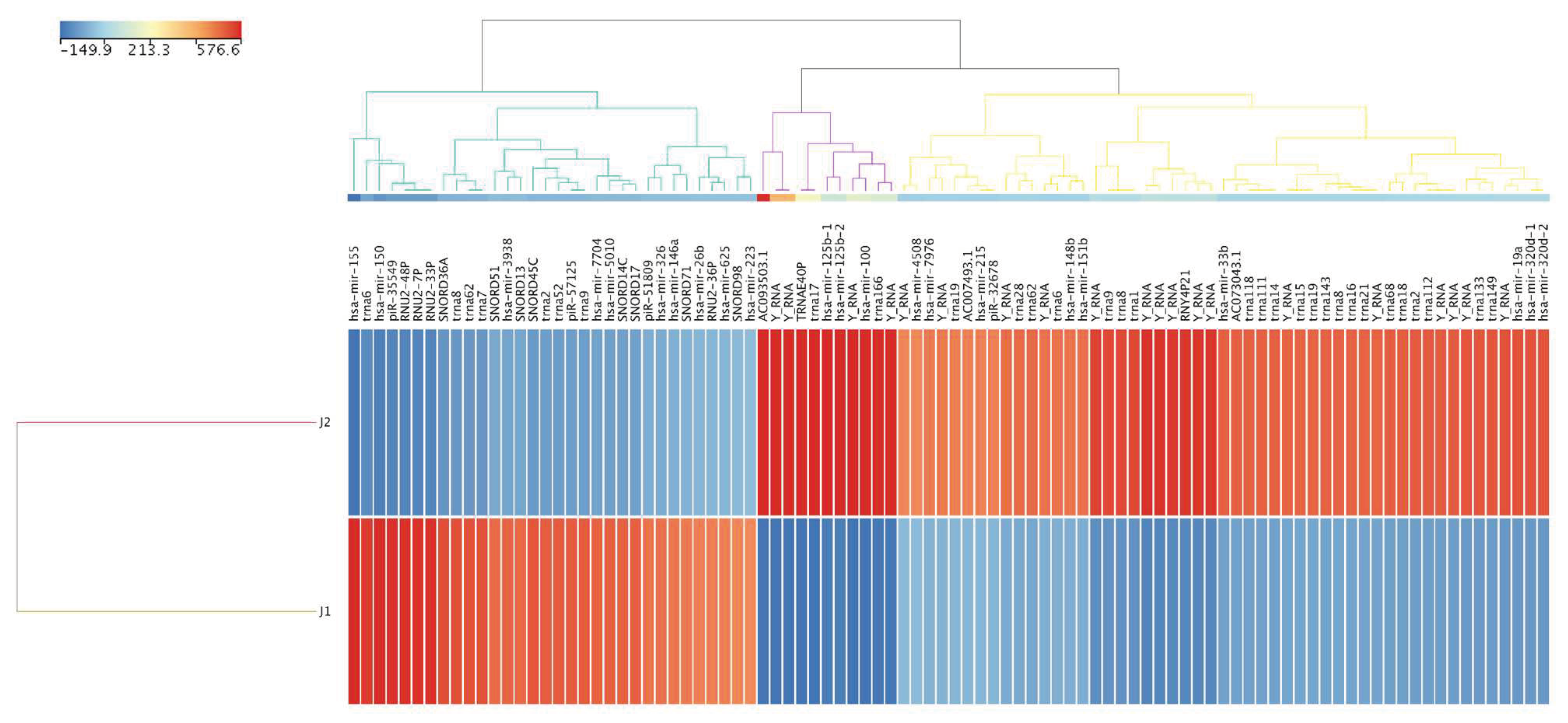 Preprints 67376 g002