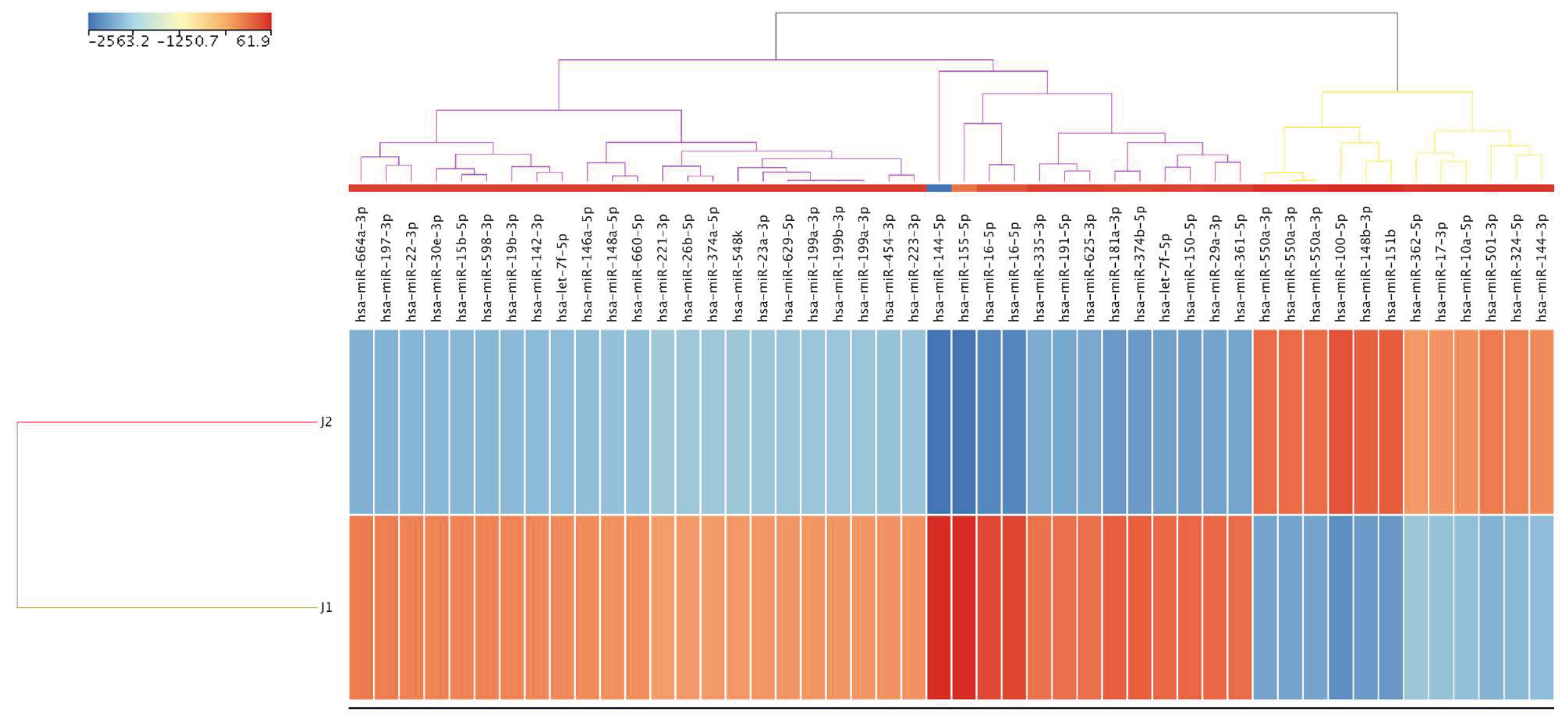 Preprints 67376 g003