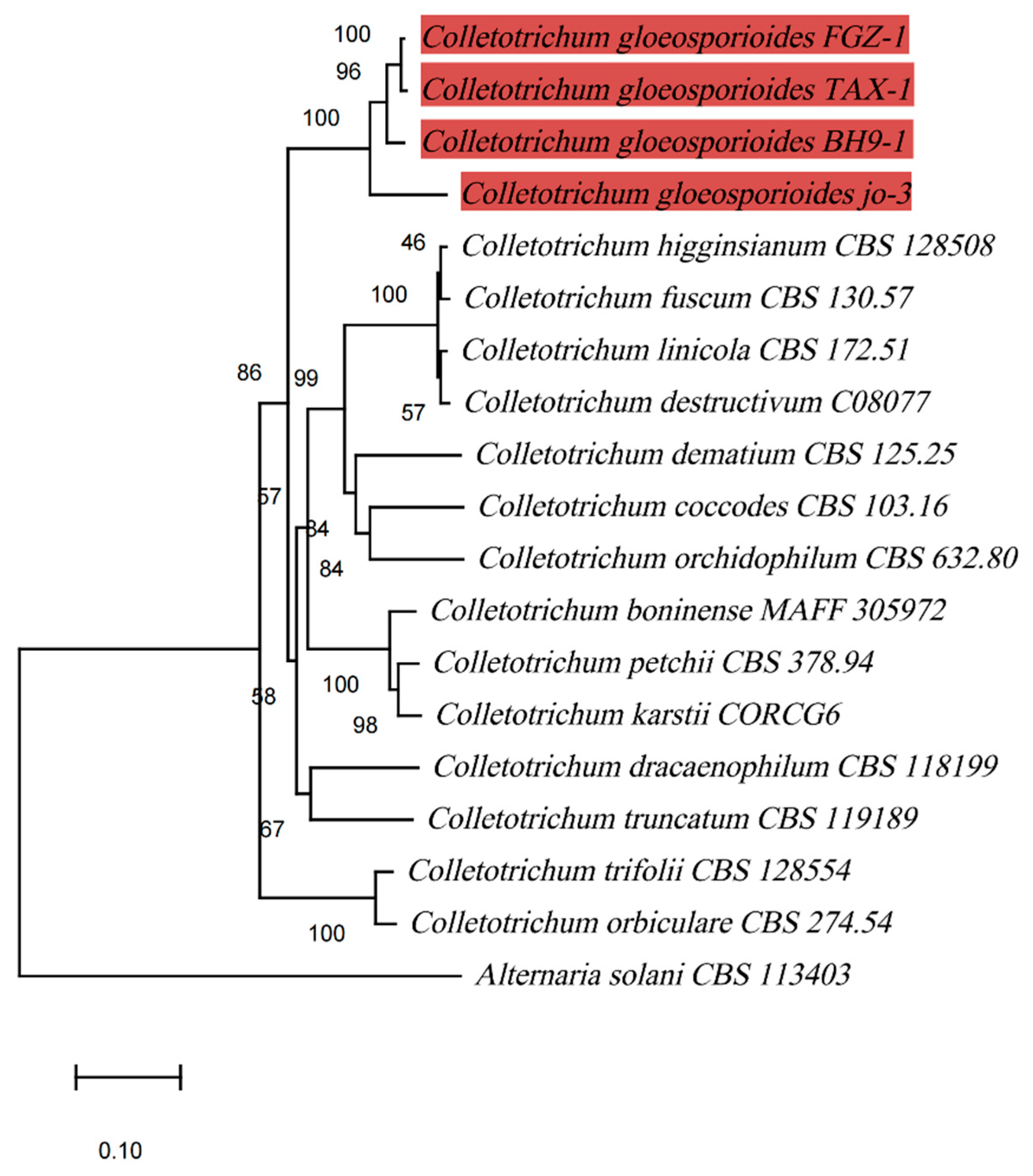 Preprints 85279 g003