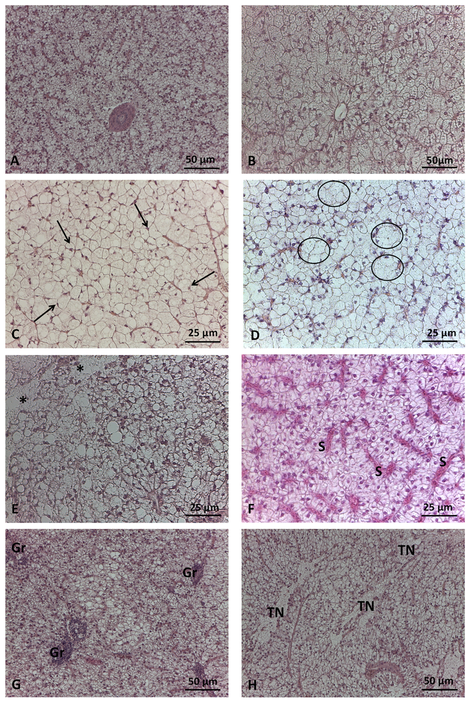 Preprints 92521 g002