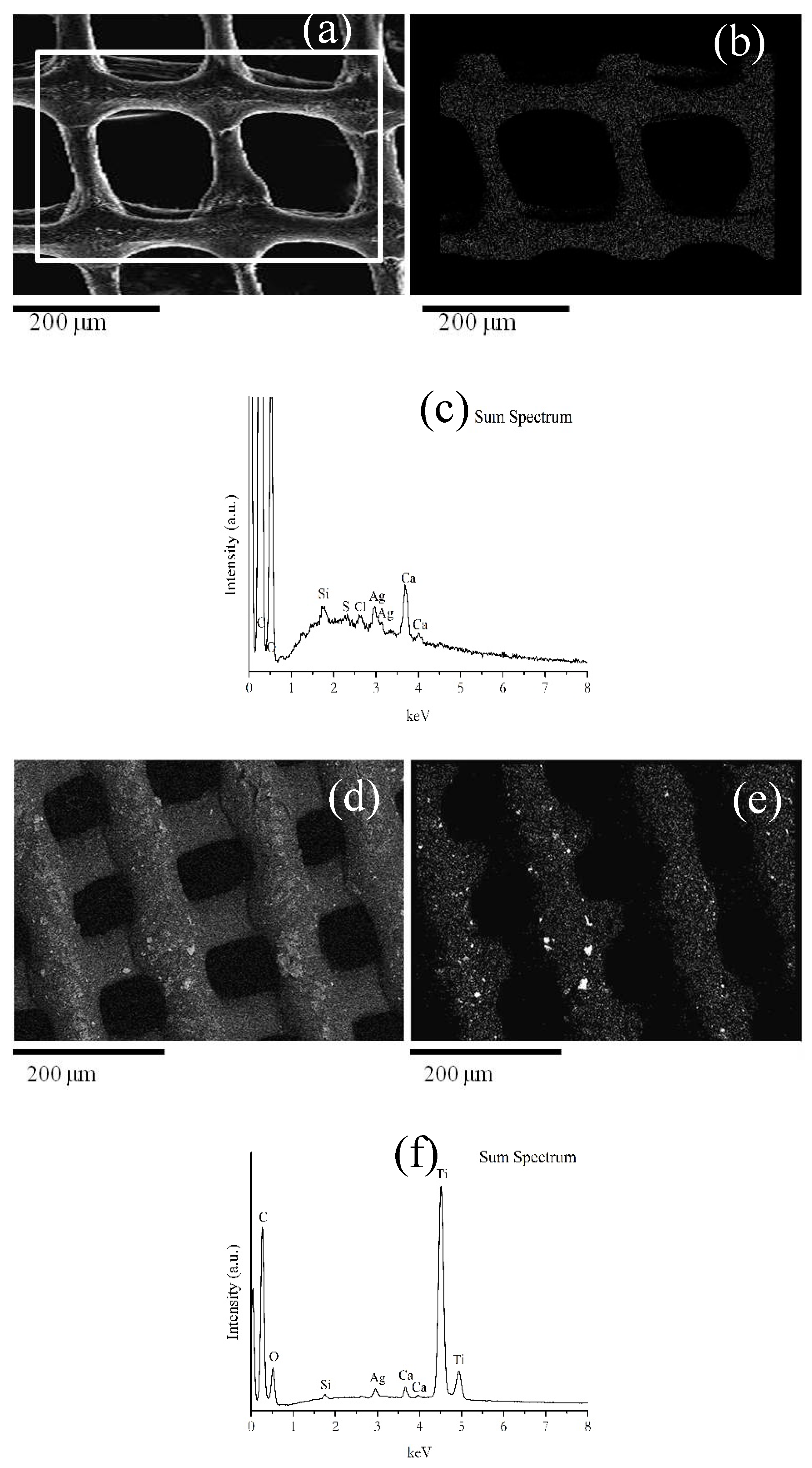 Preprints 74799 g005