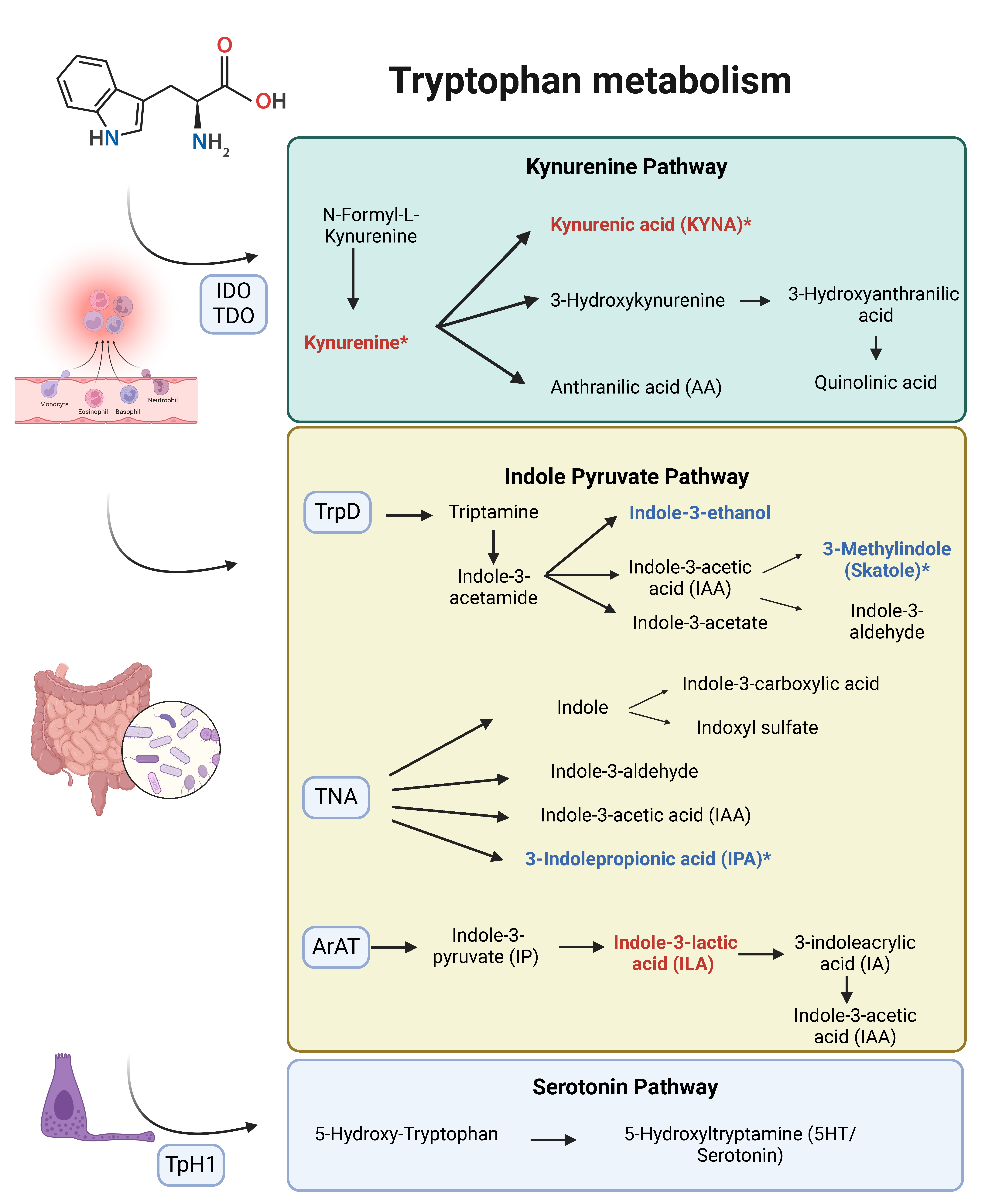 Preprints 120124 g002