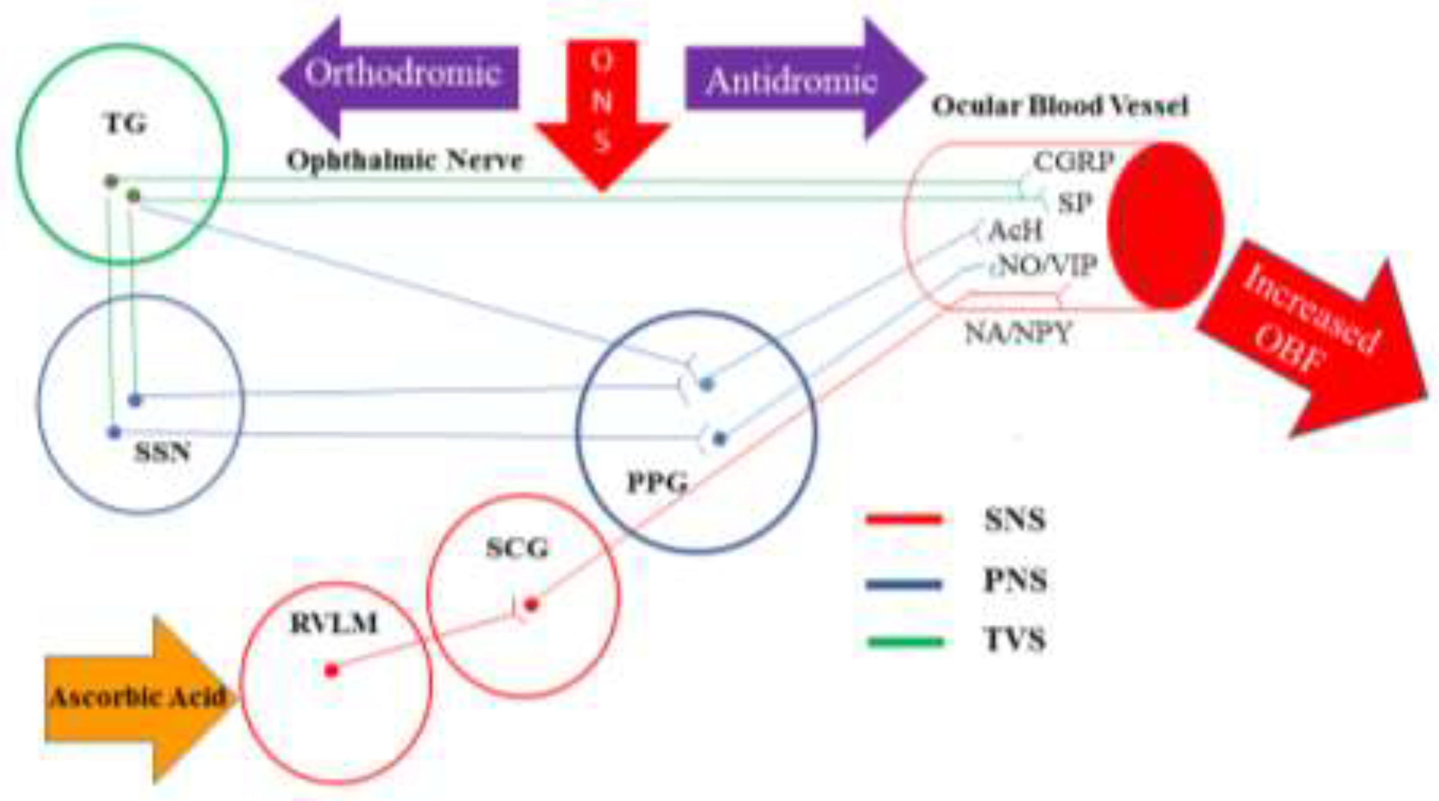 Preprints 86525 g001