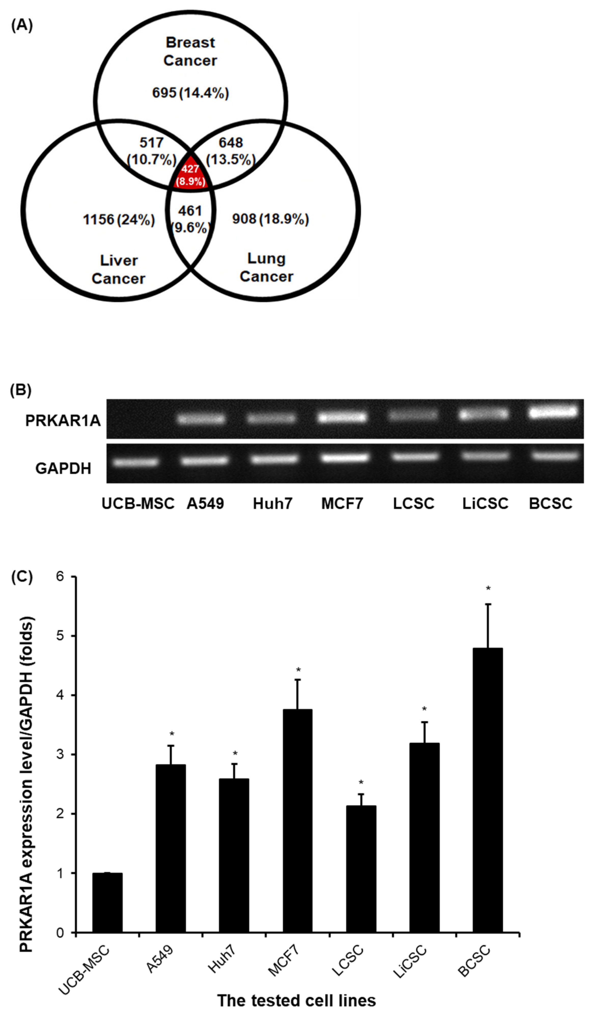 Preprints 96981 g001