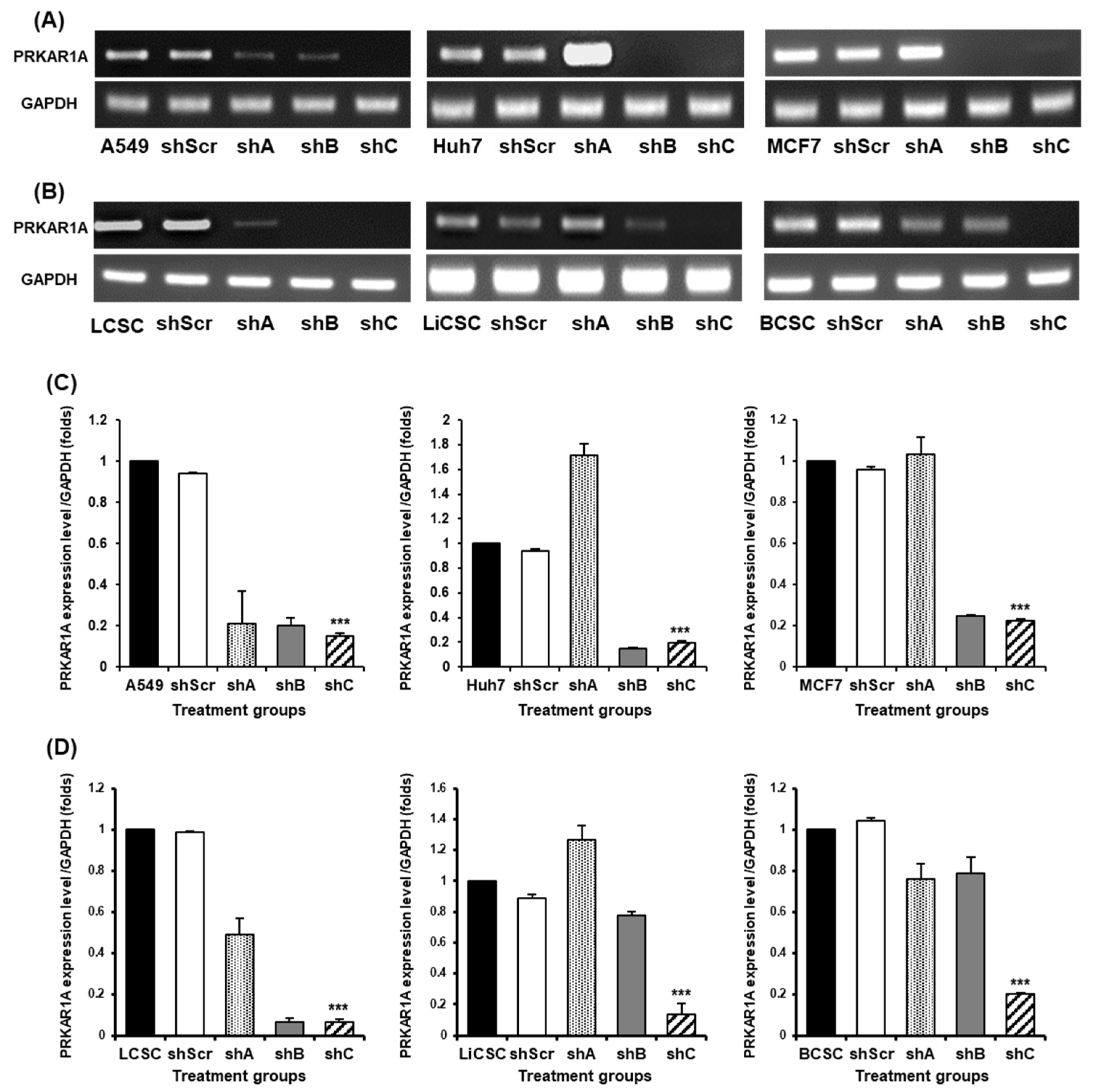 Preprints 96981 g002