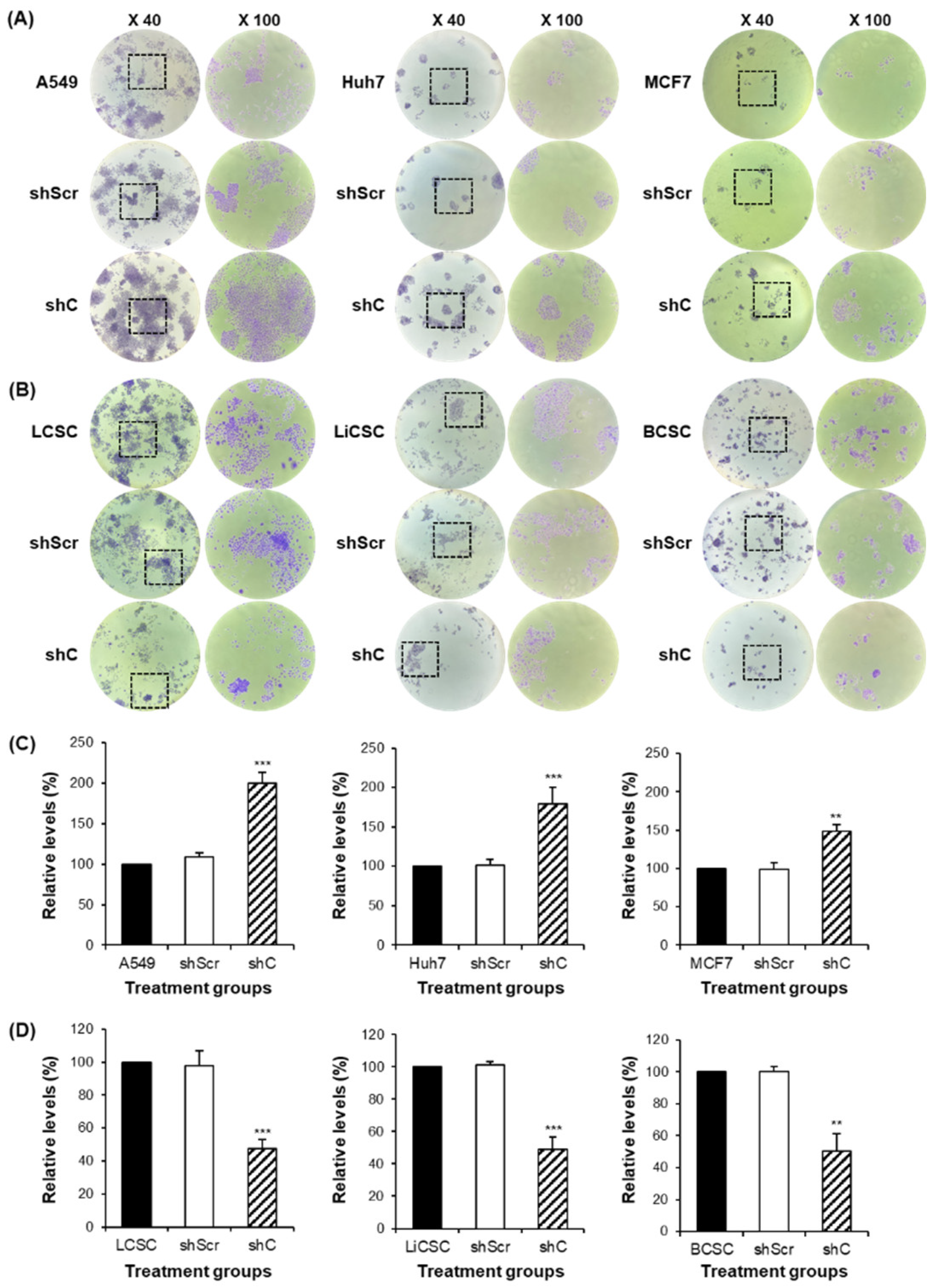 Preprints 96981 g004