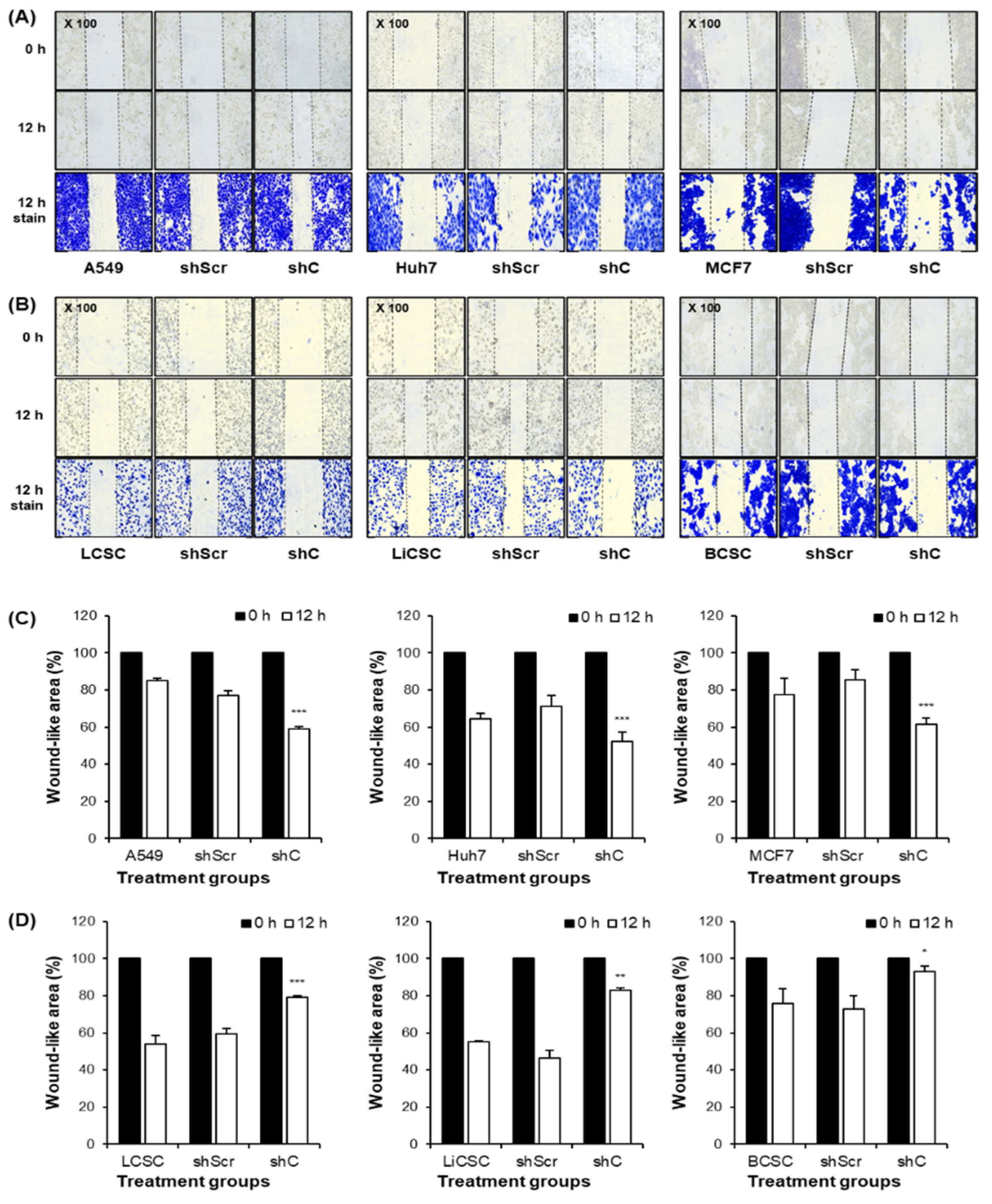 Preprints 96981 g006