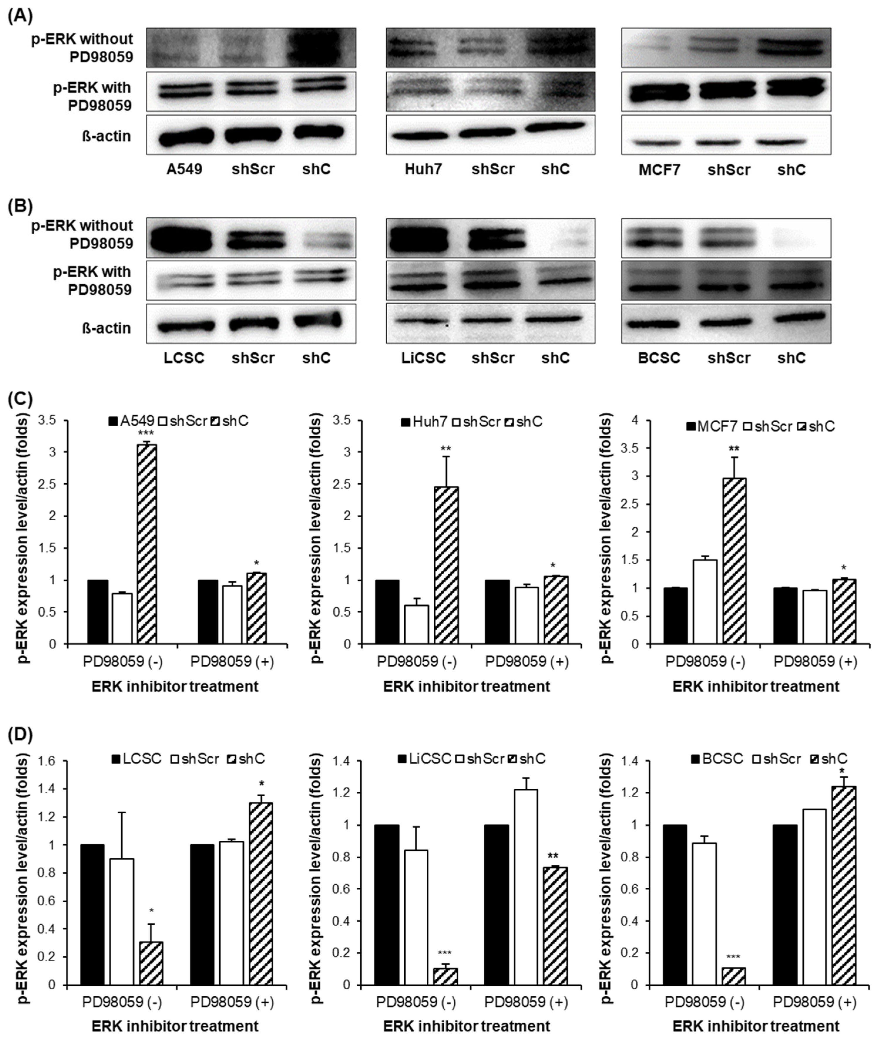 Preprints 96981 g007