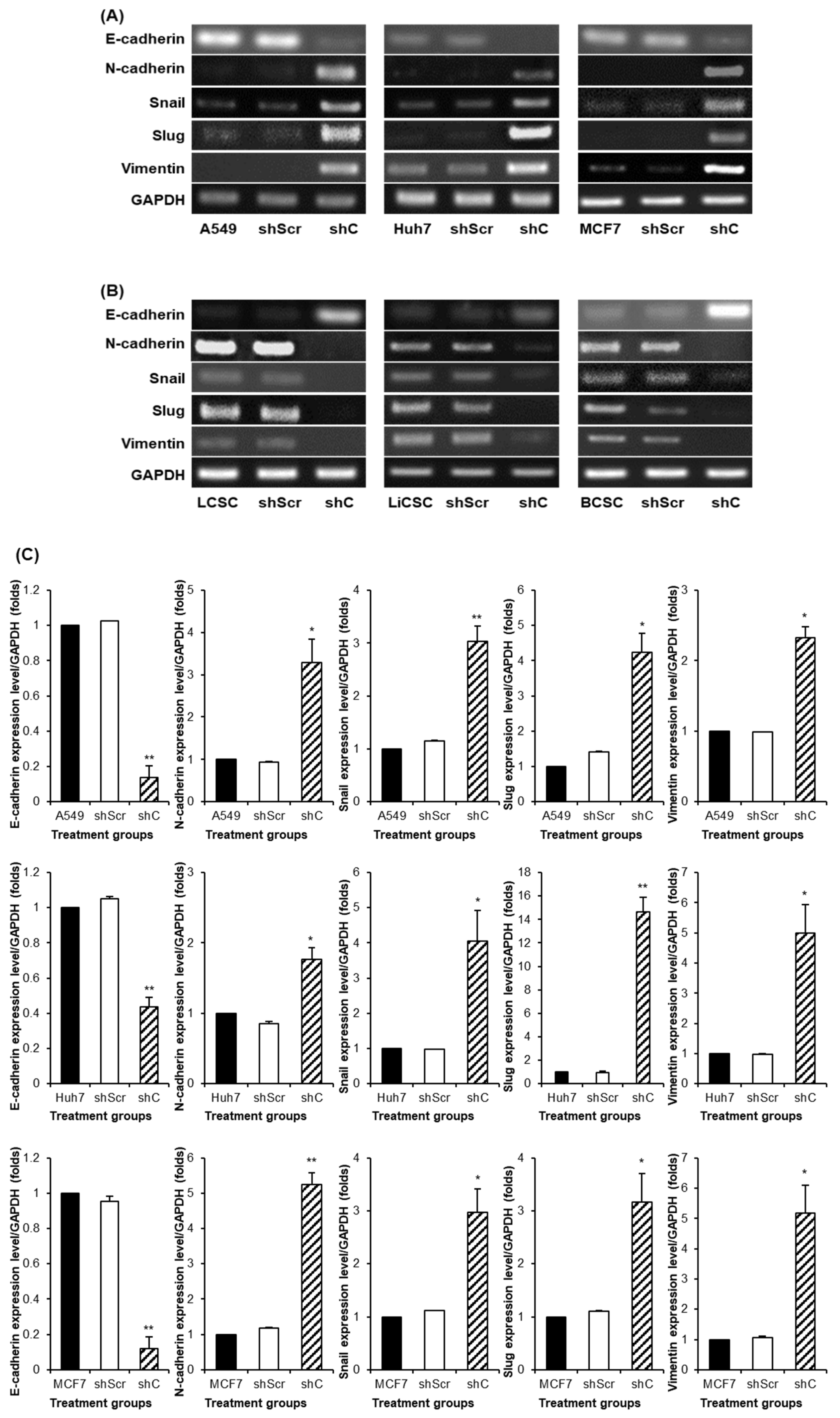 Preprints 96981 g008a