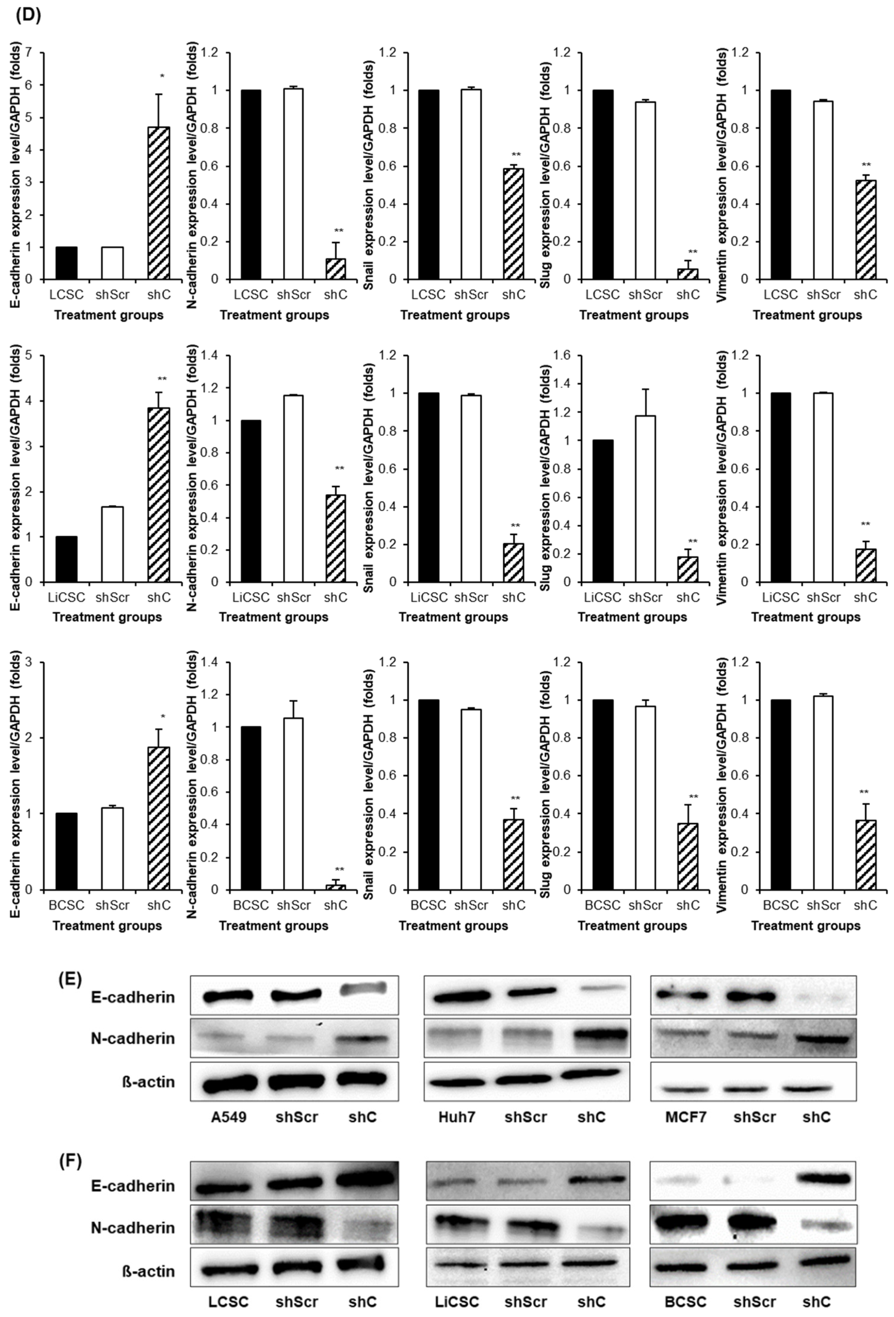 Preprints 96981 g008b