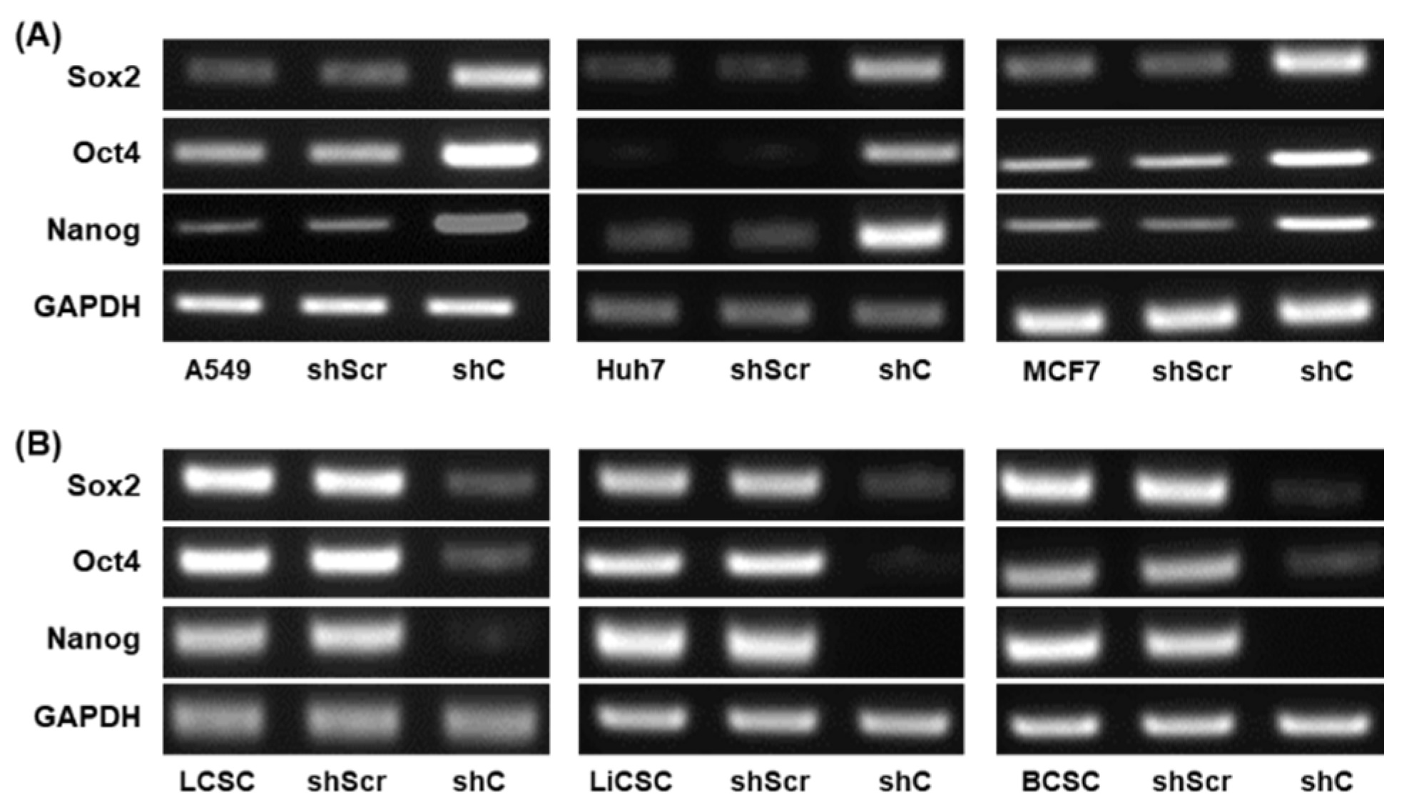 Preprints 96981 g009a