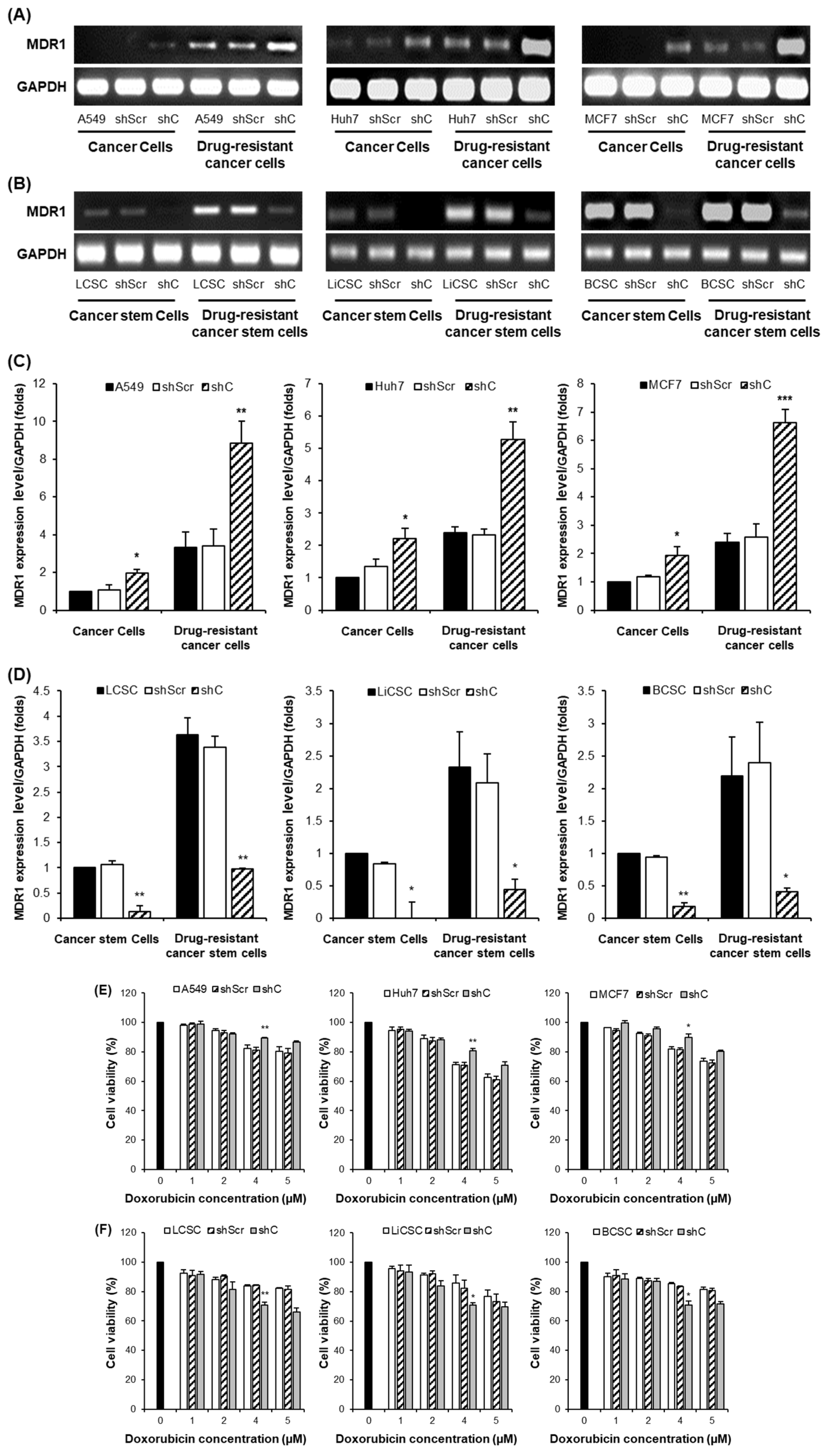 Preprints 96981 g012