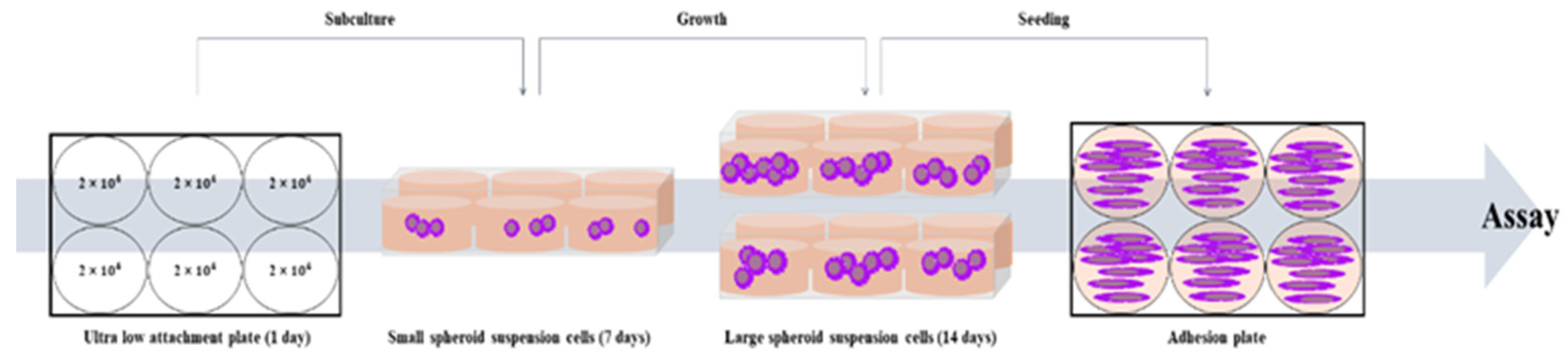 Preprints 96981 sch001