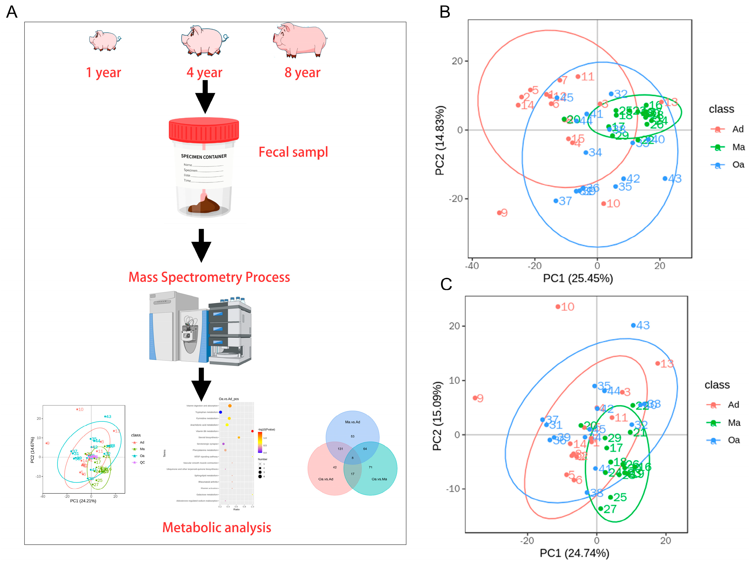 Preprints 116901 g001