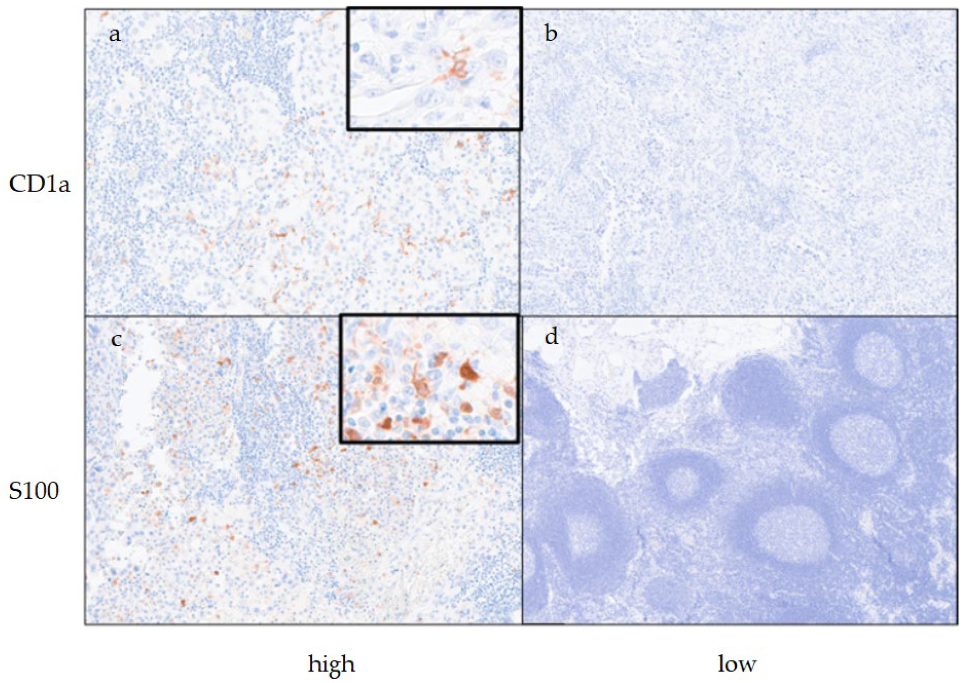 Preprints 116227 g001