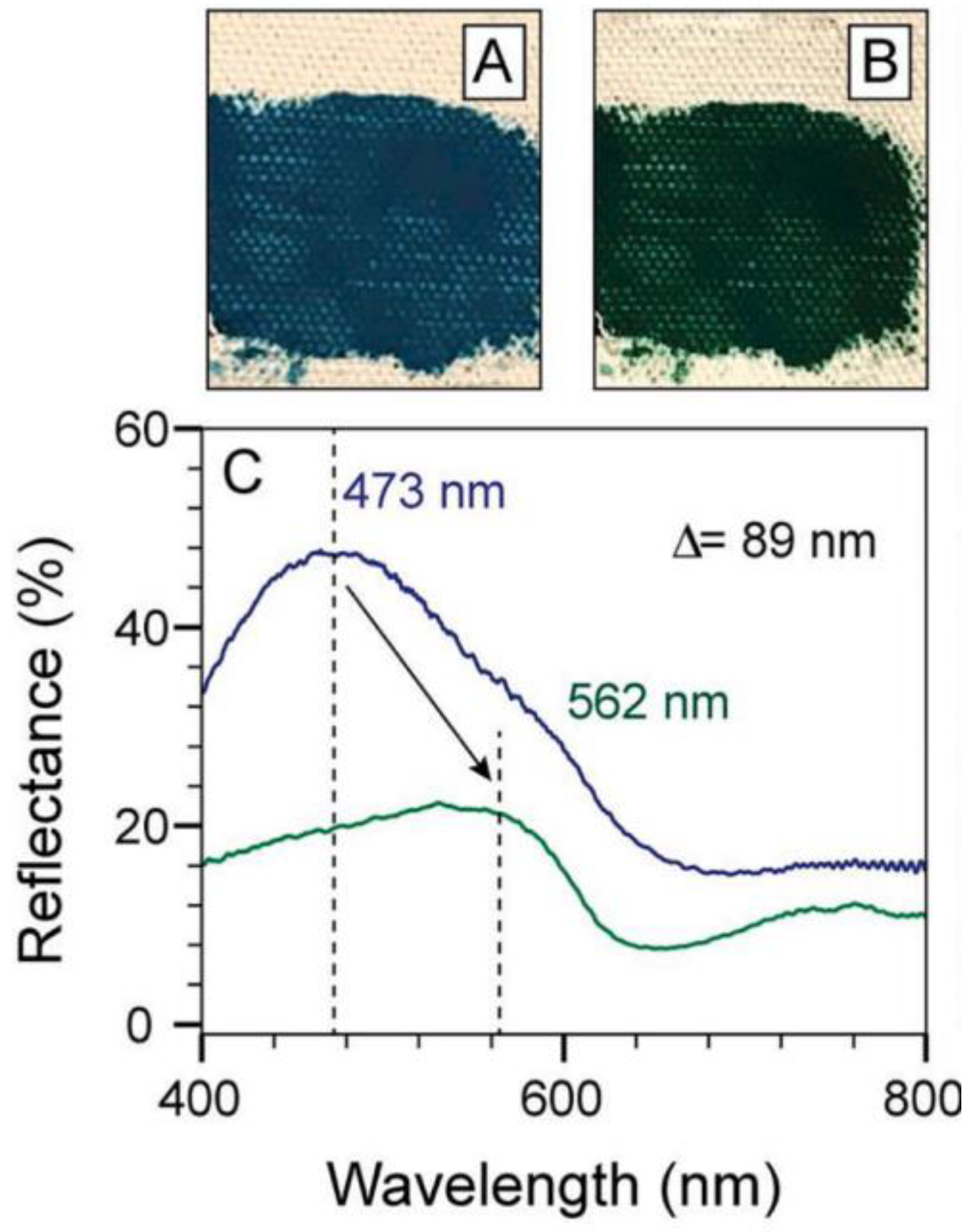 Preprints 102372 g015