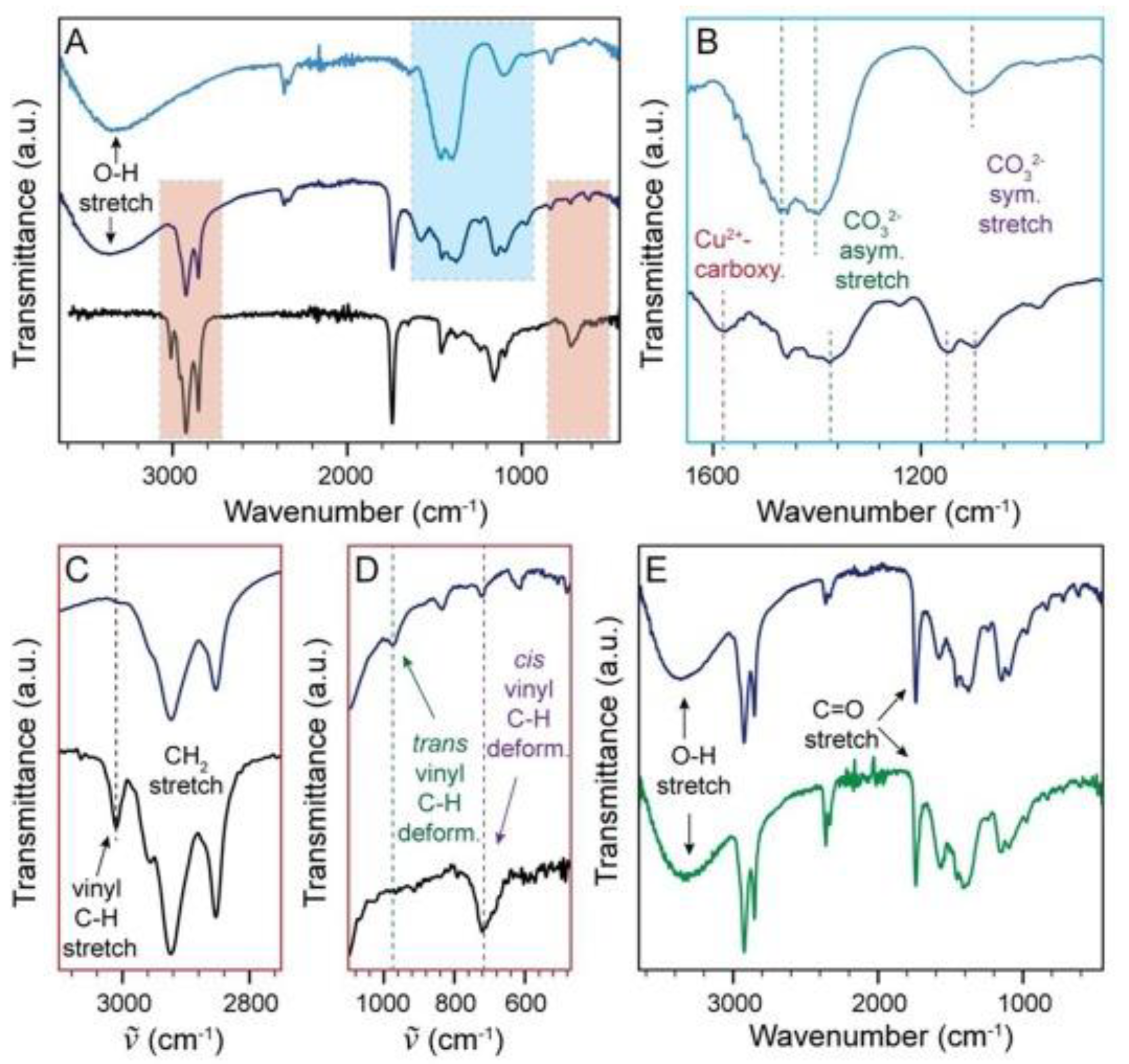 Preprints 102372 g017