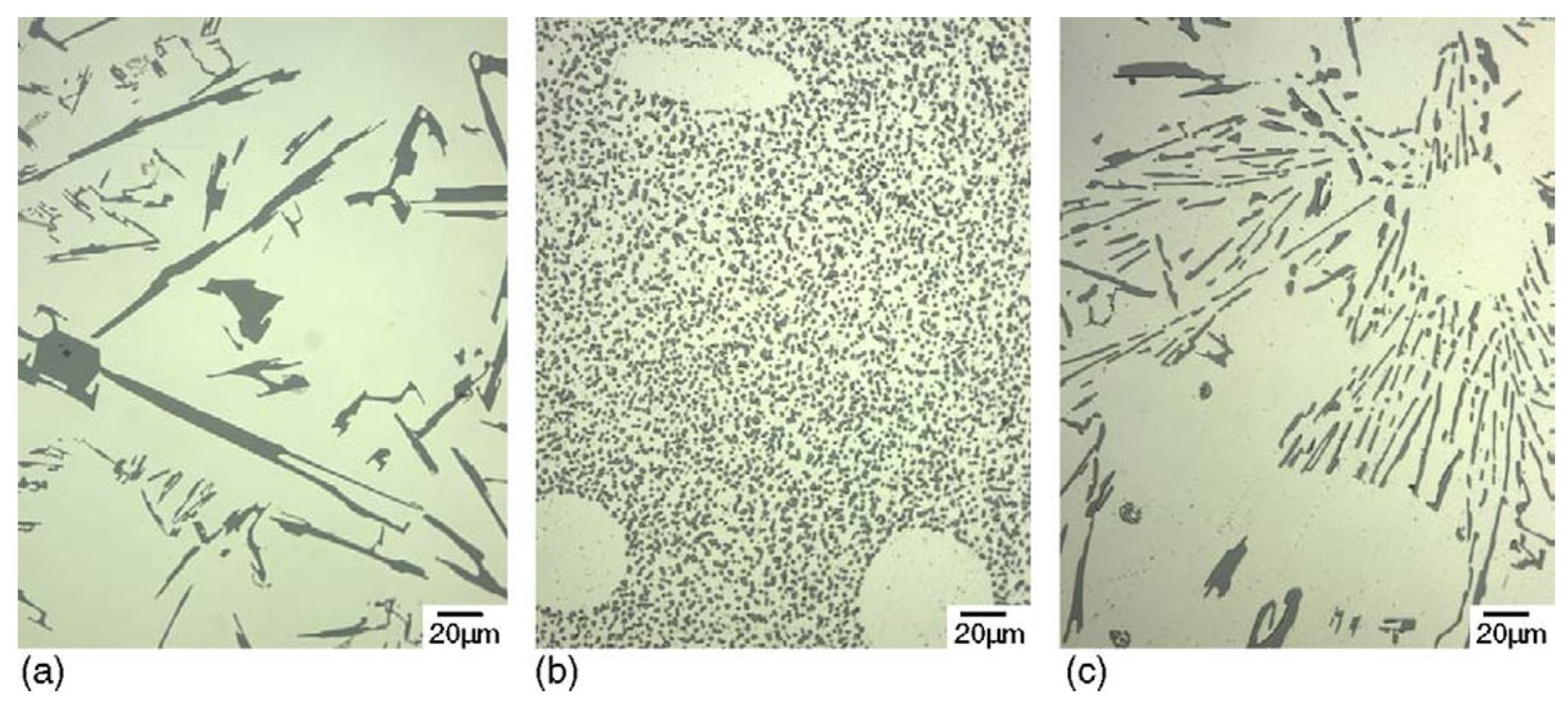 Preprints 109259 g004