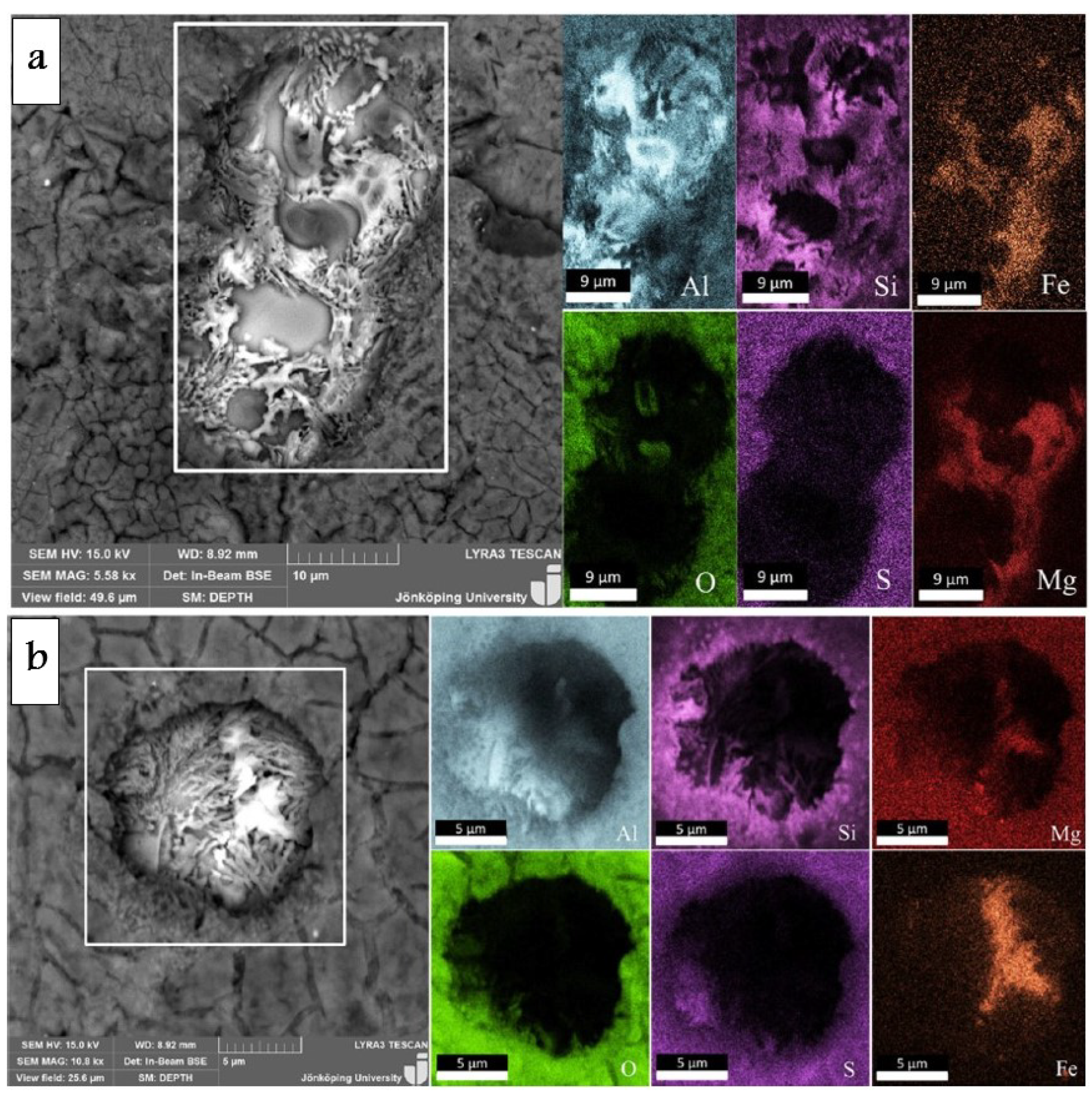 Preprints 109259 g007