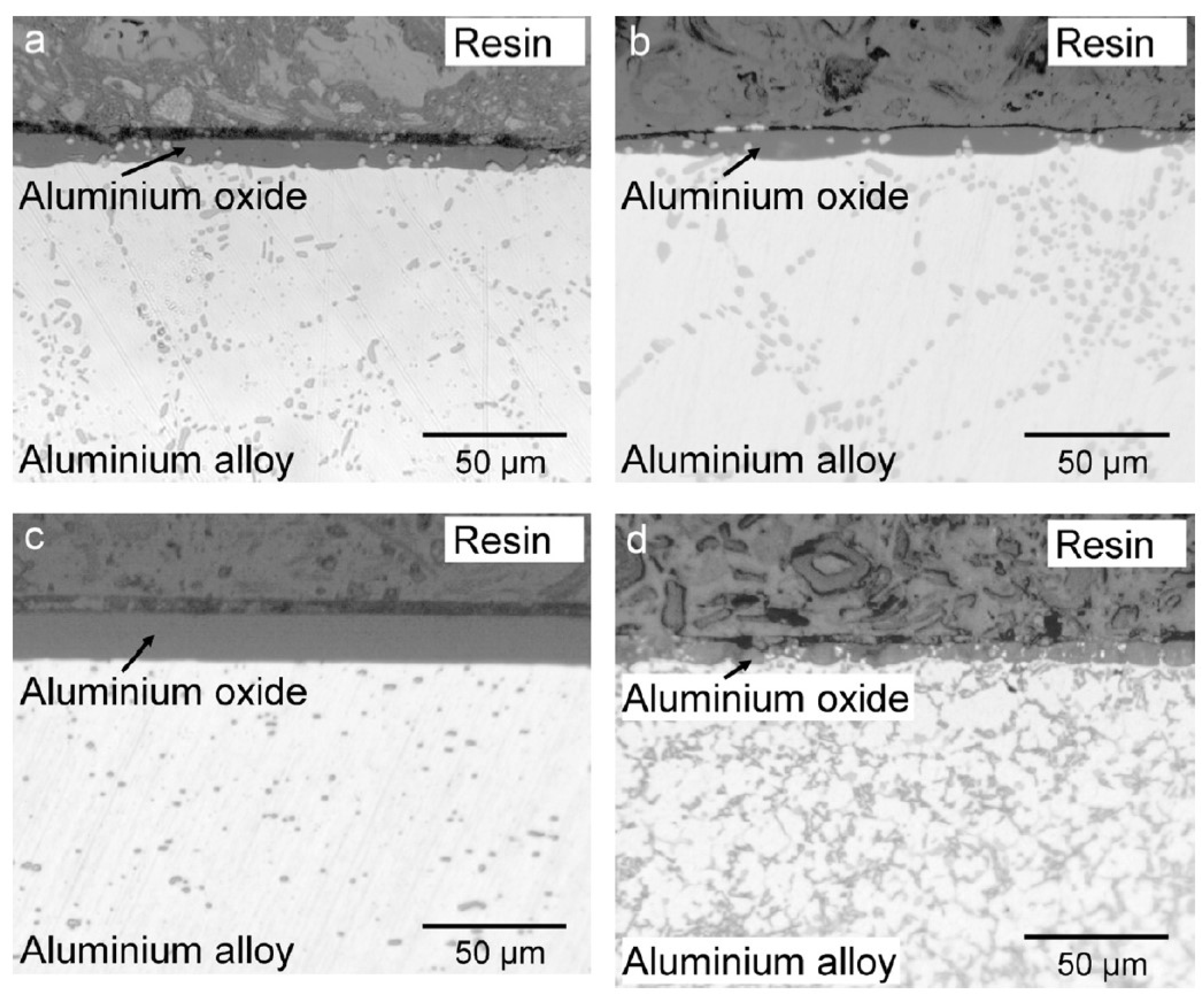 Preprints 109259 g009