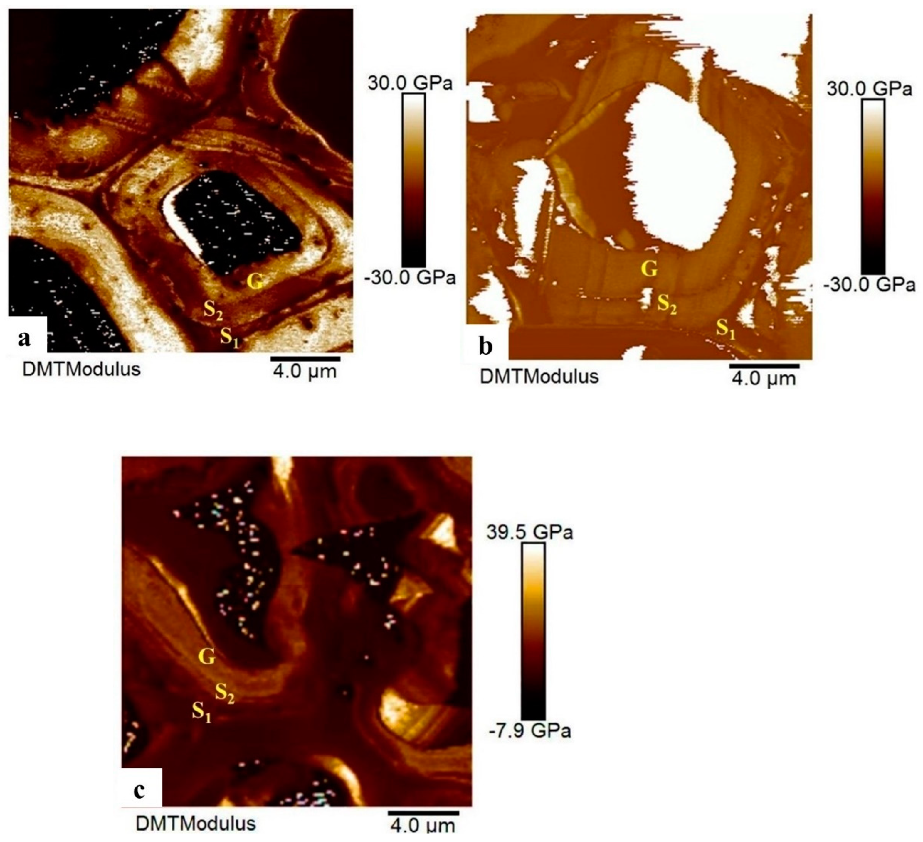 Preprints 76704 g008