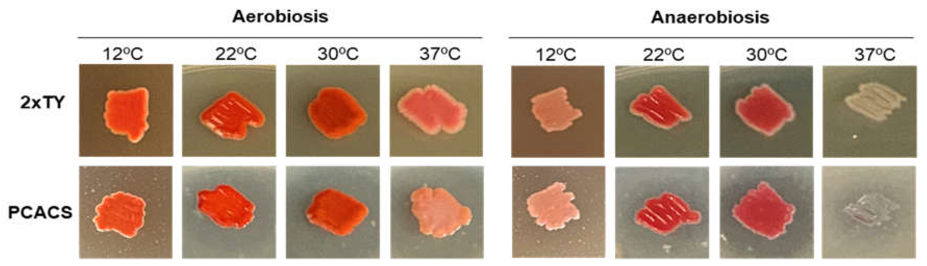 Preprints 74990 g002