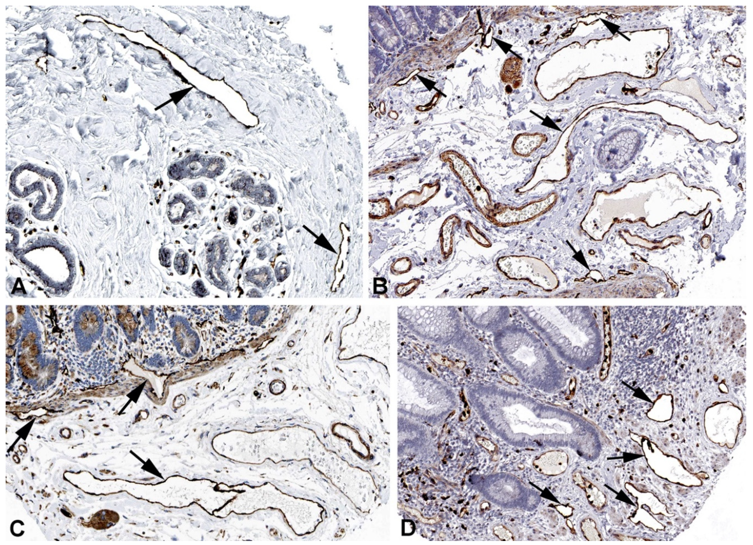 Preprints 119200 g003