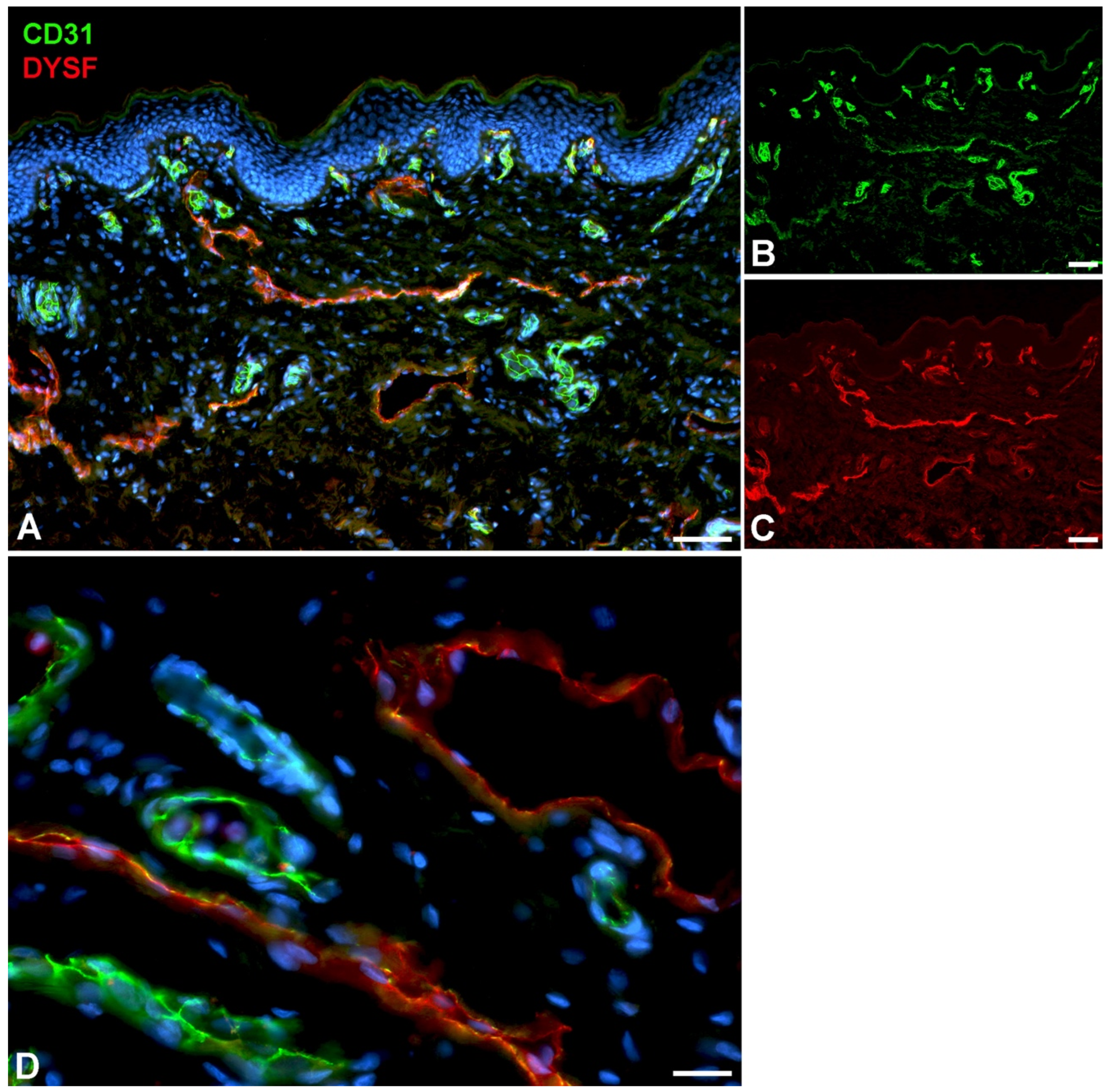 Preprints 119200 g004