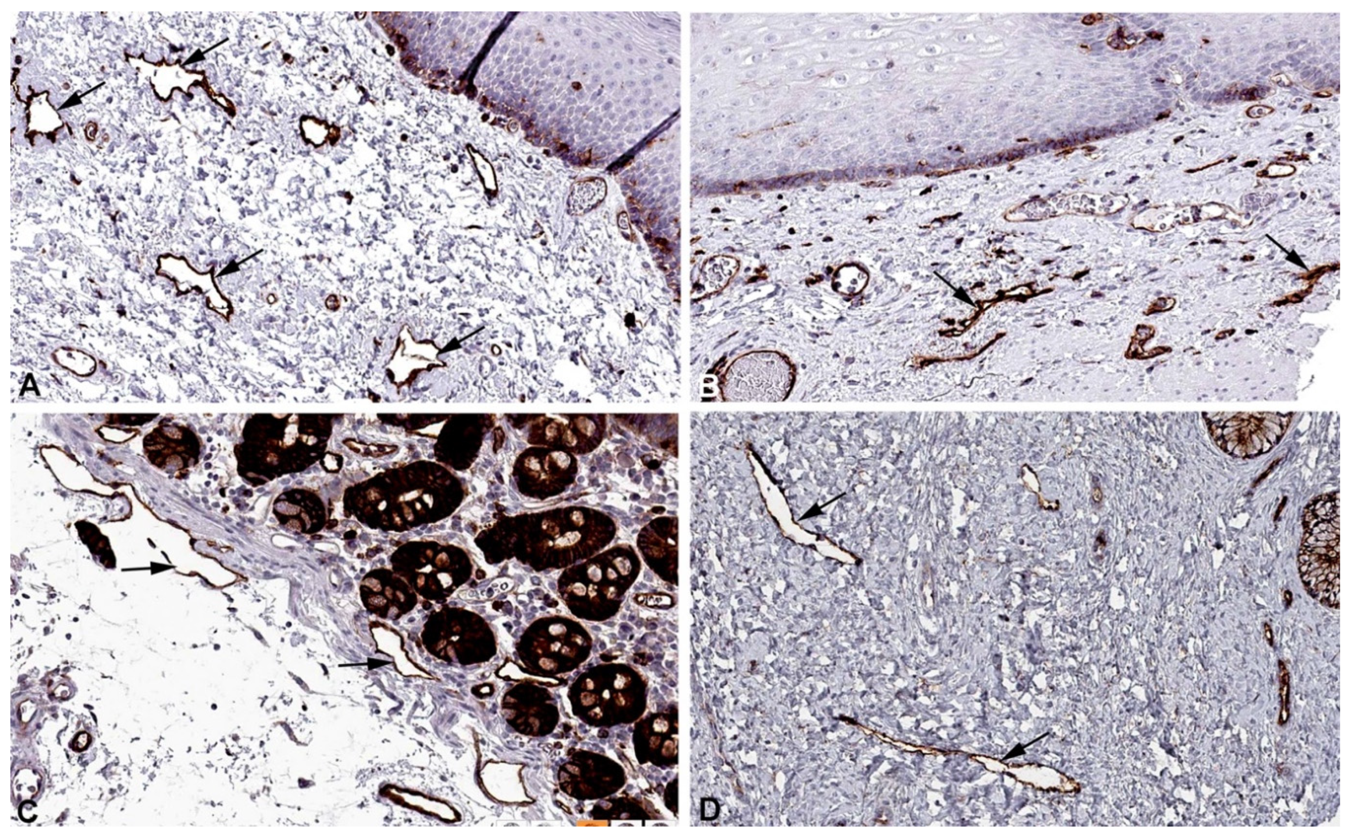 Preprints 119200 g008