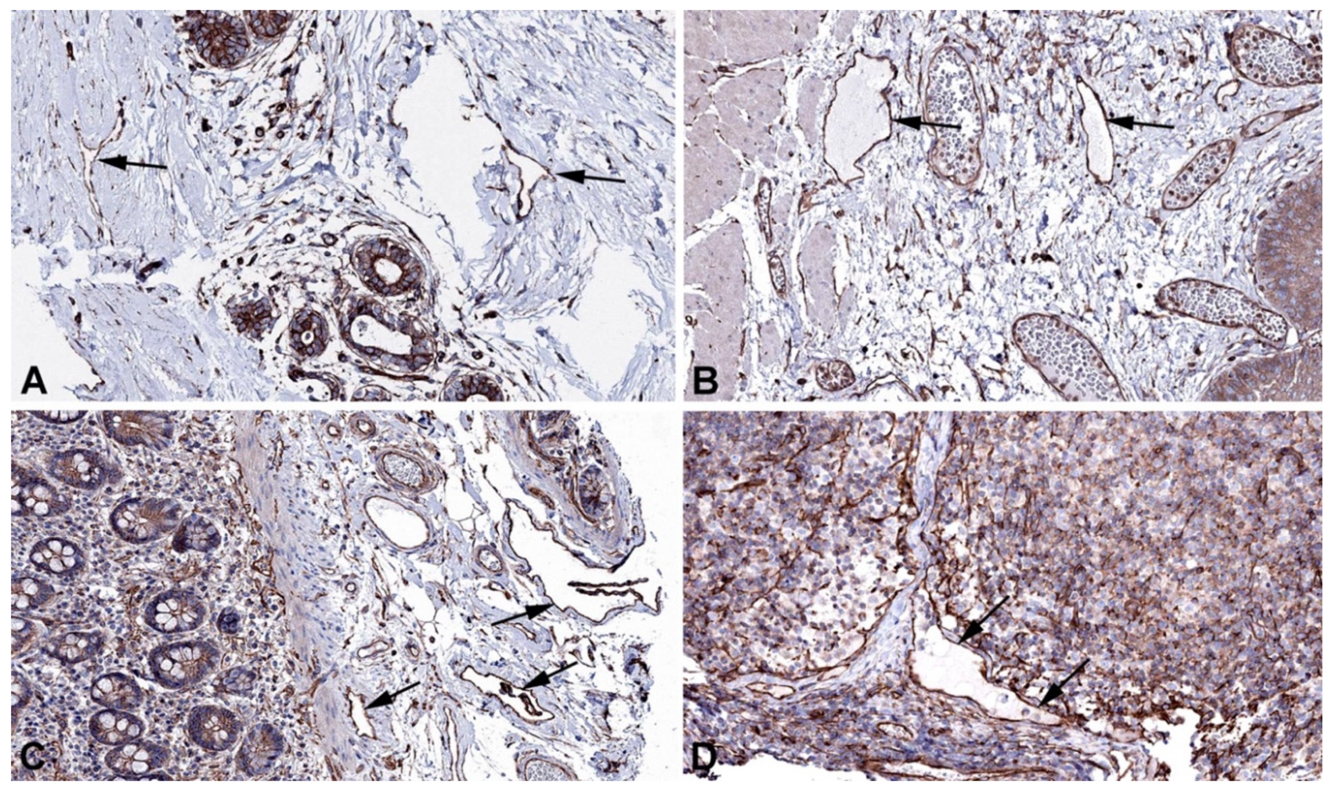 Preprints 119200 g010