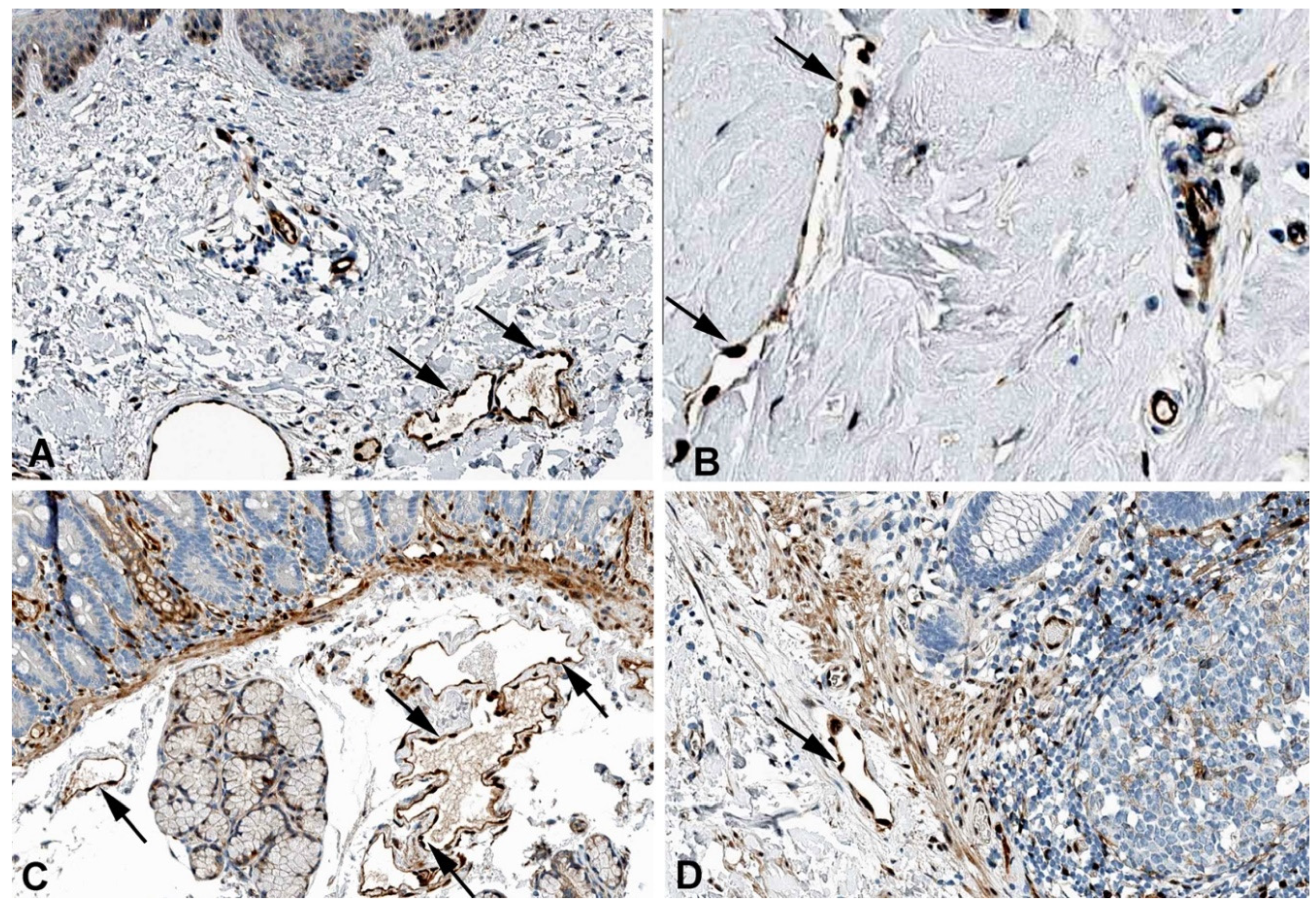 Preprints 119200 g013