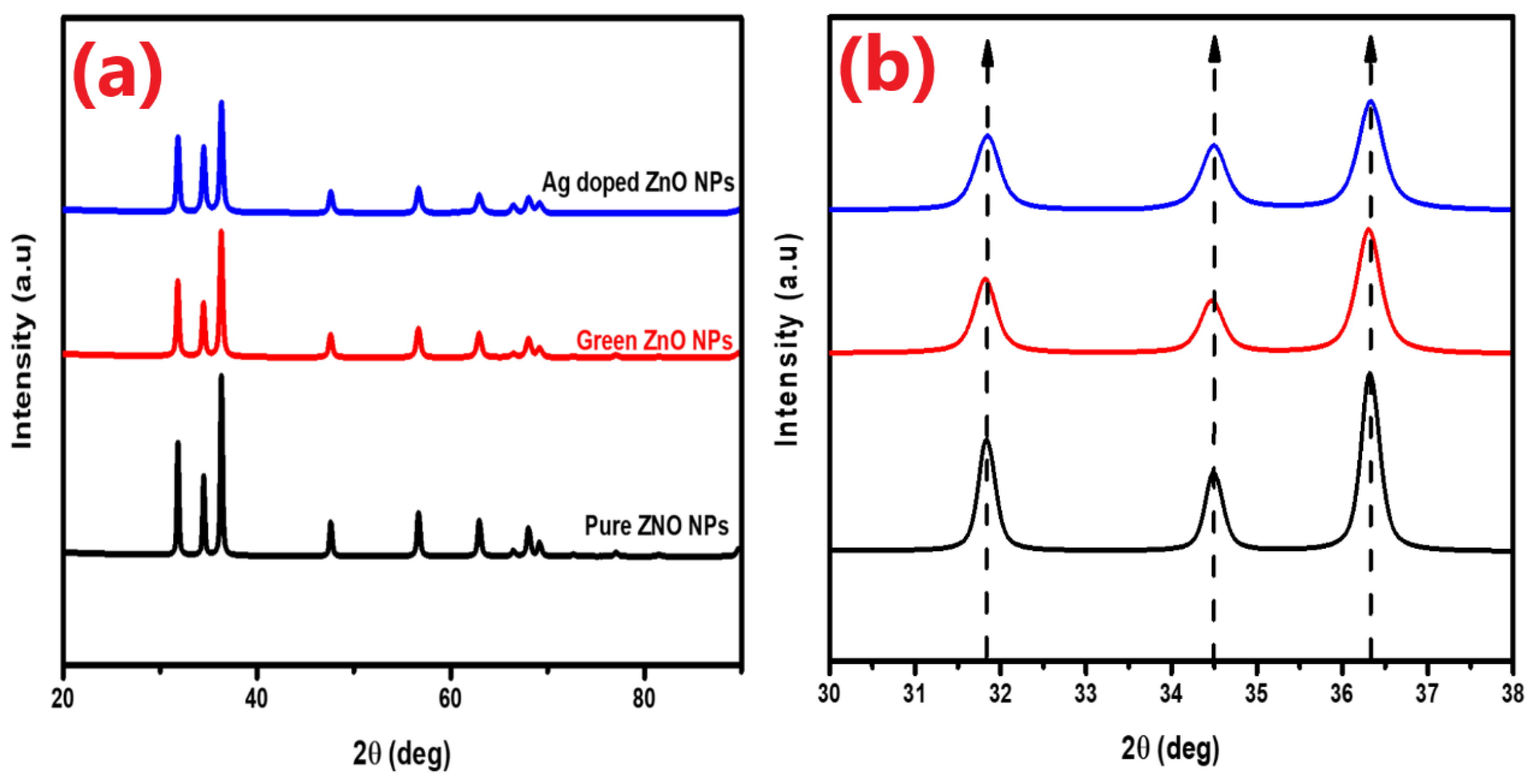 Preprints 138515 g002