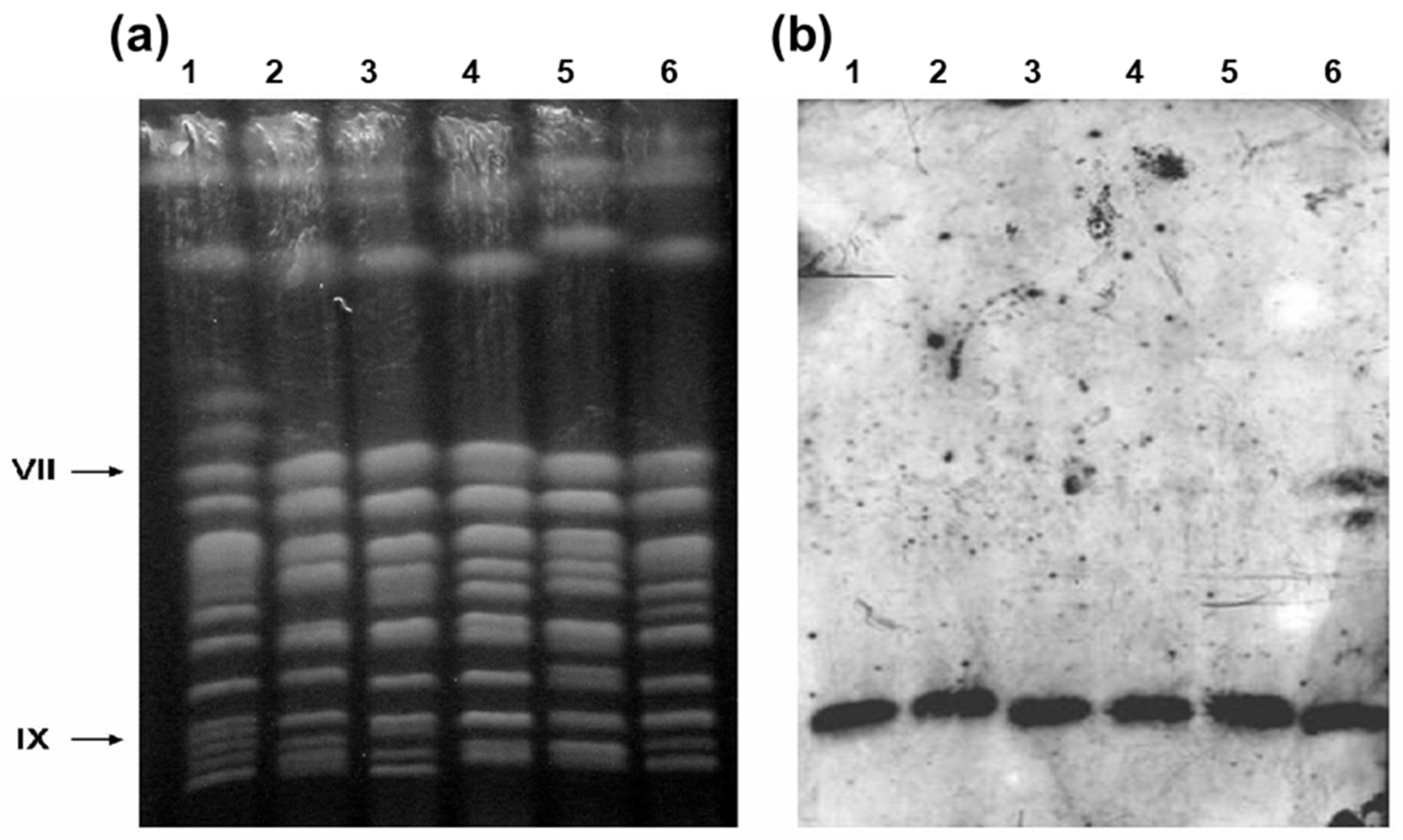 Preprints 78250 g002