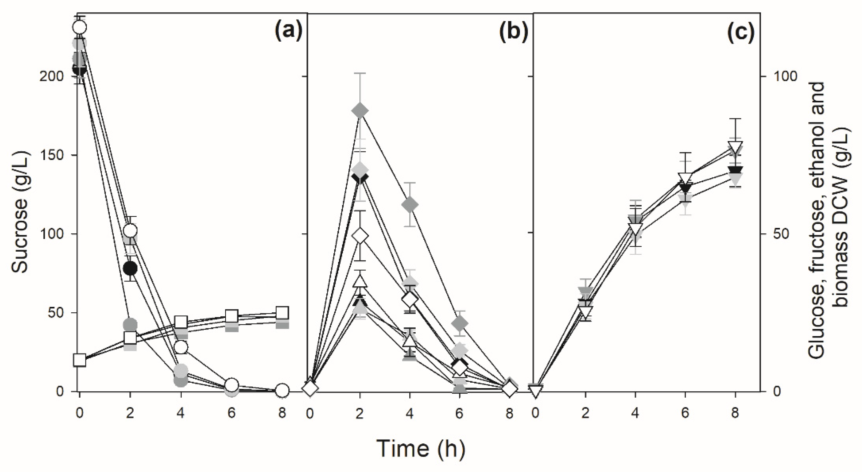 Preprints 78250 g004